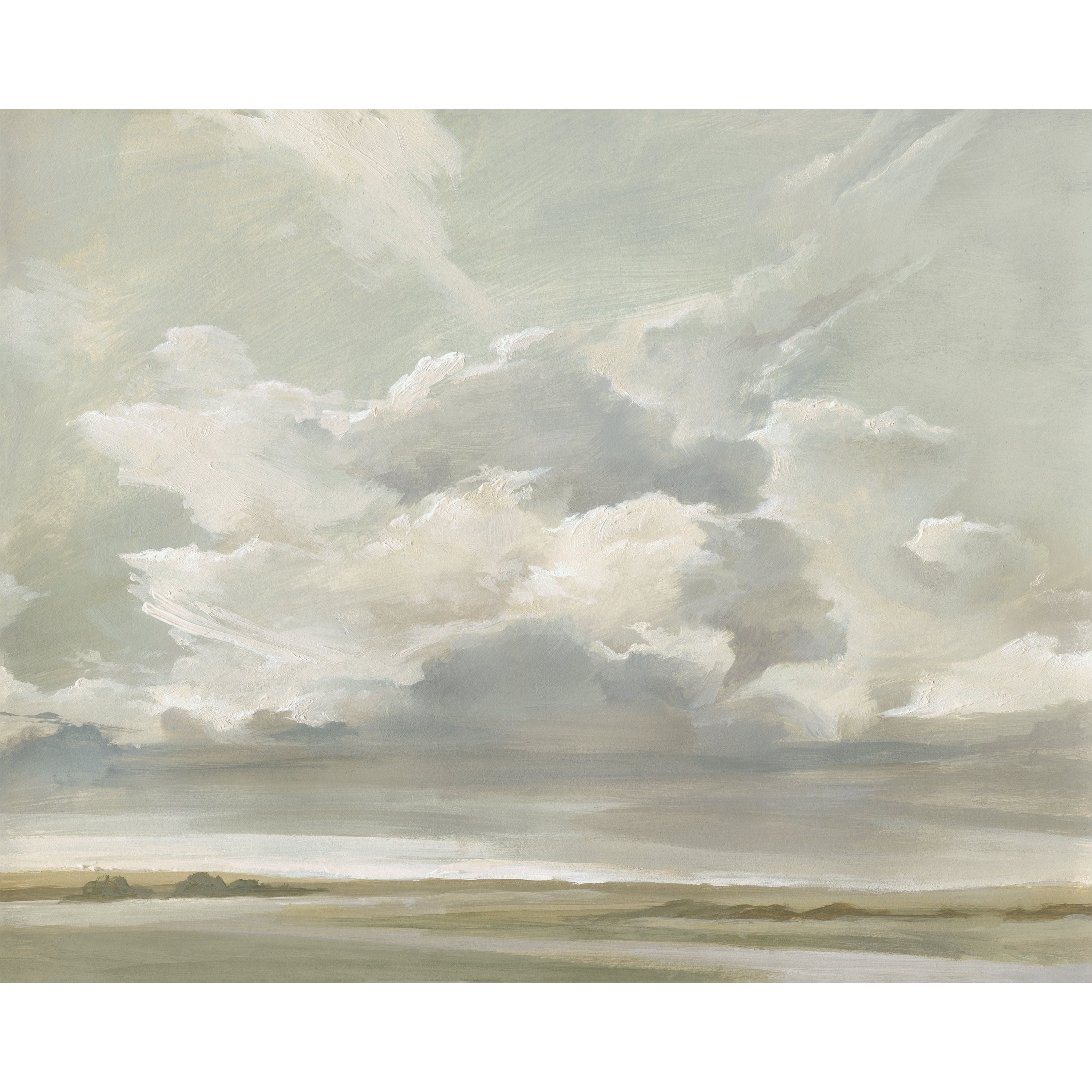 Capturing the Passing Cloud