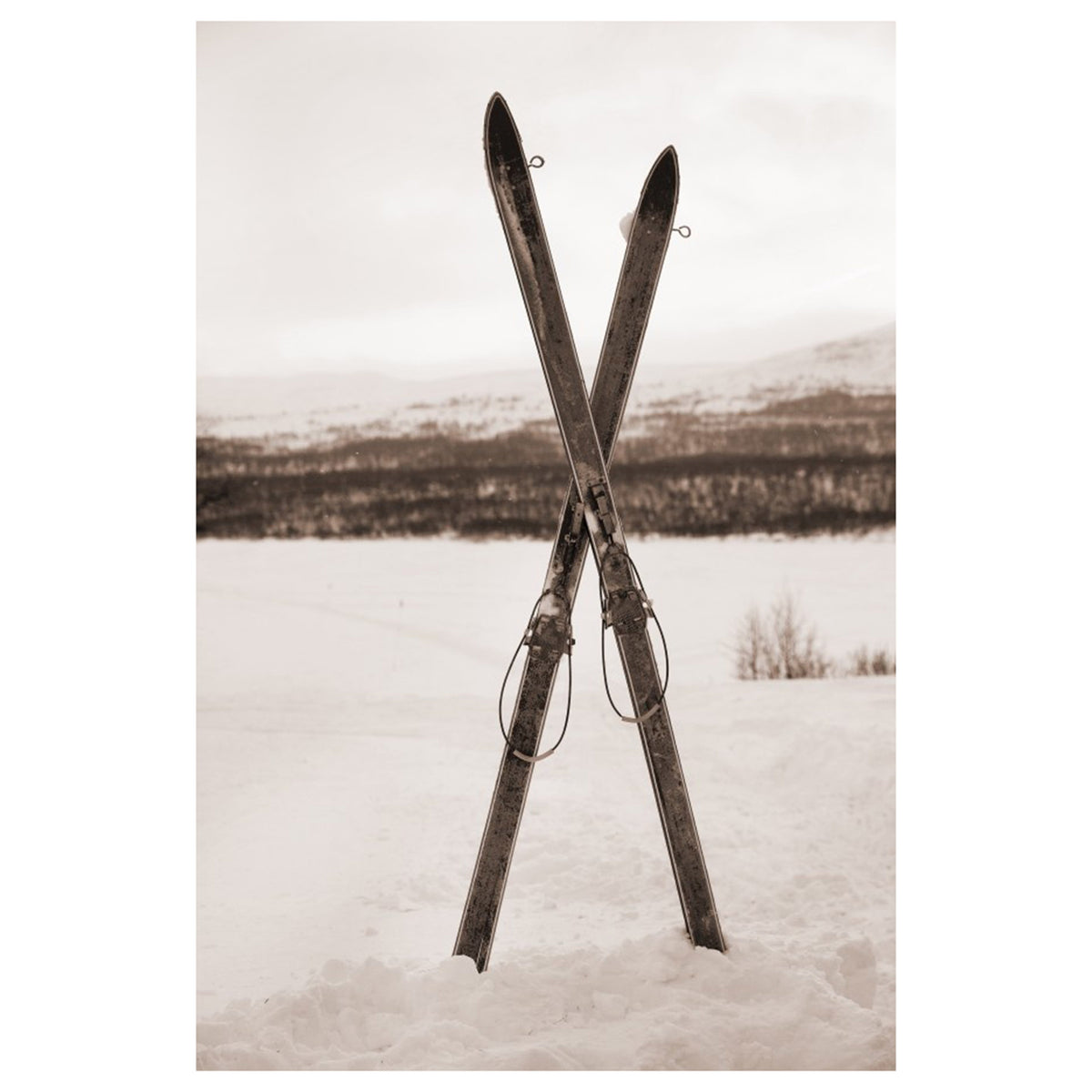 Snowbound II