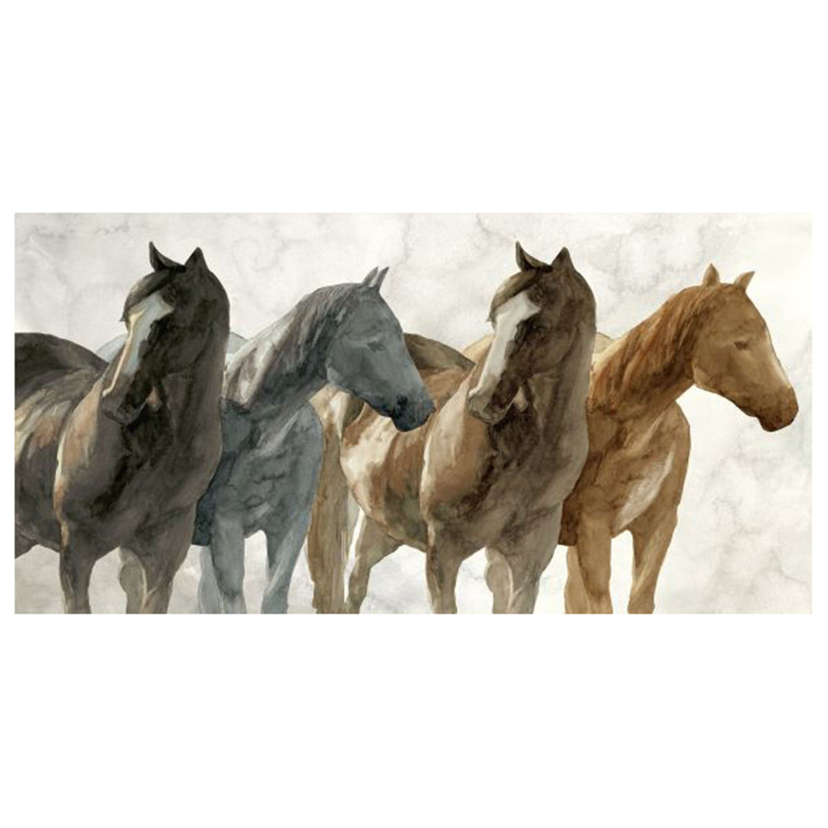 Cavallo