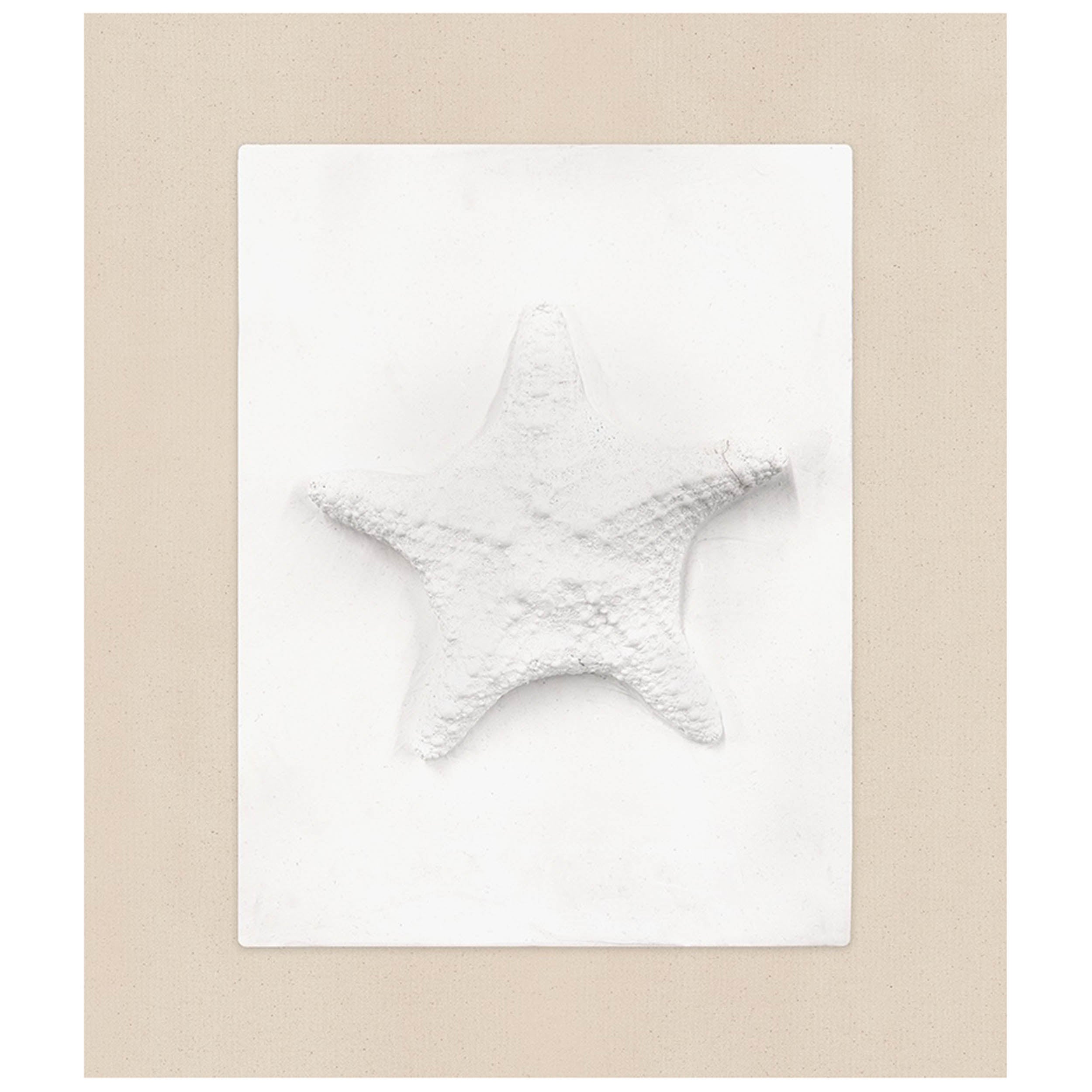 Sea Star