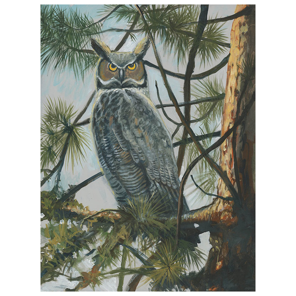 Mr. Owl