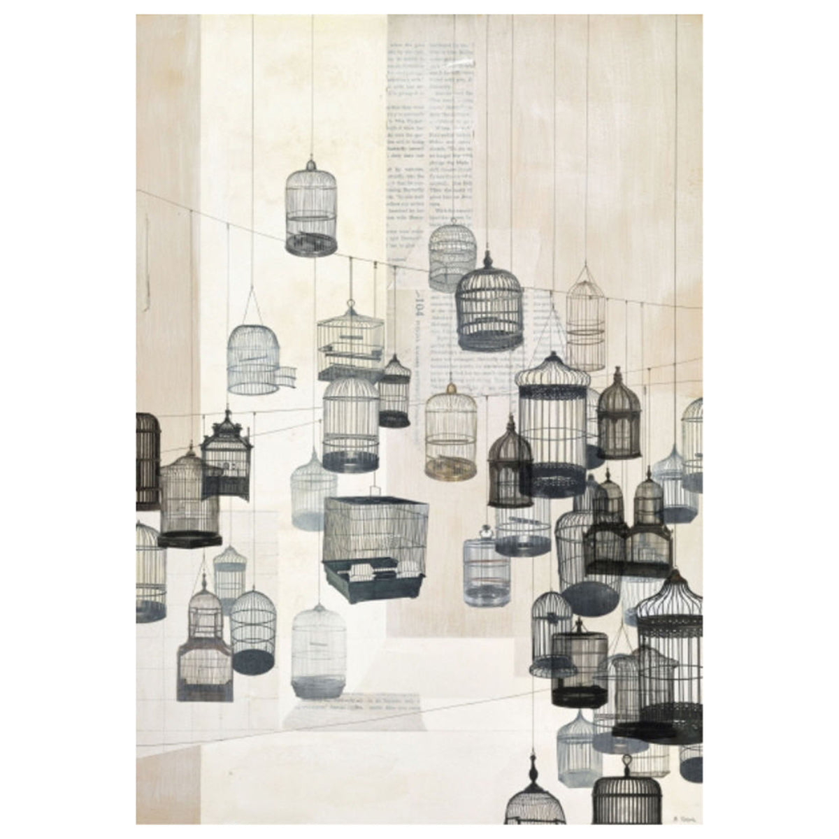 Birdcages I