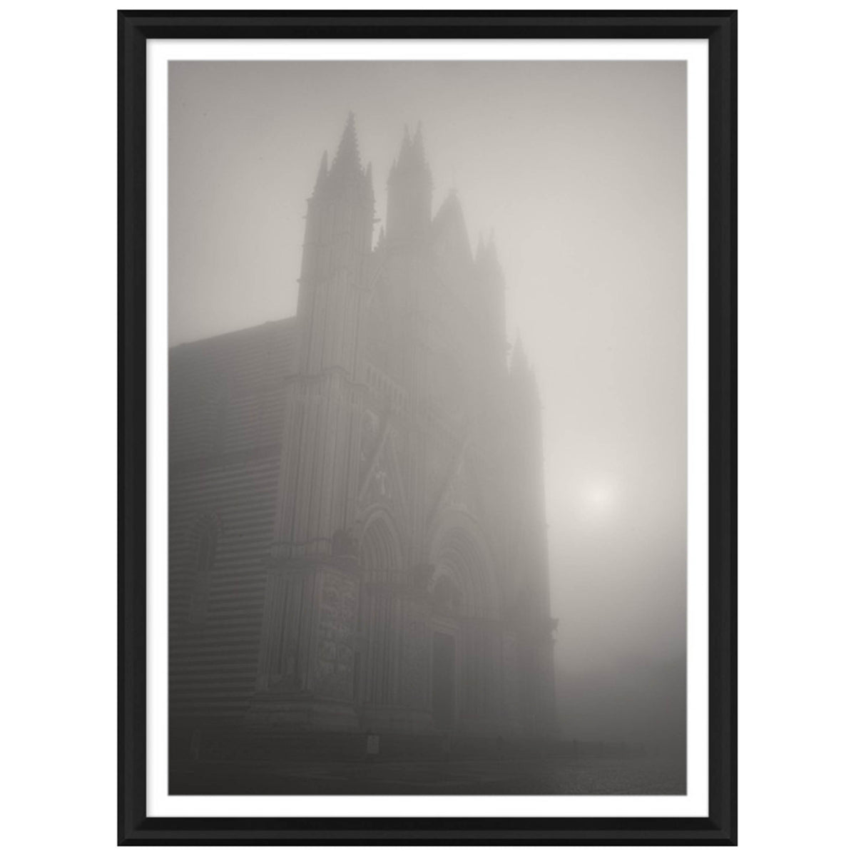 Duono in the Morning Fog