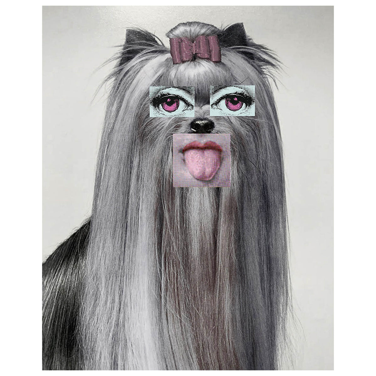 Doggie 5