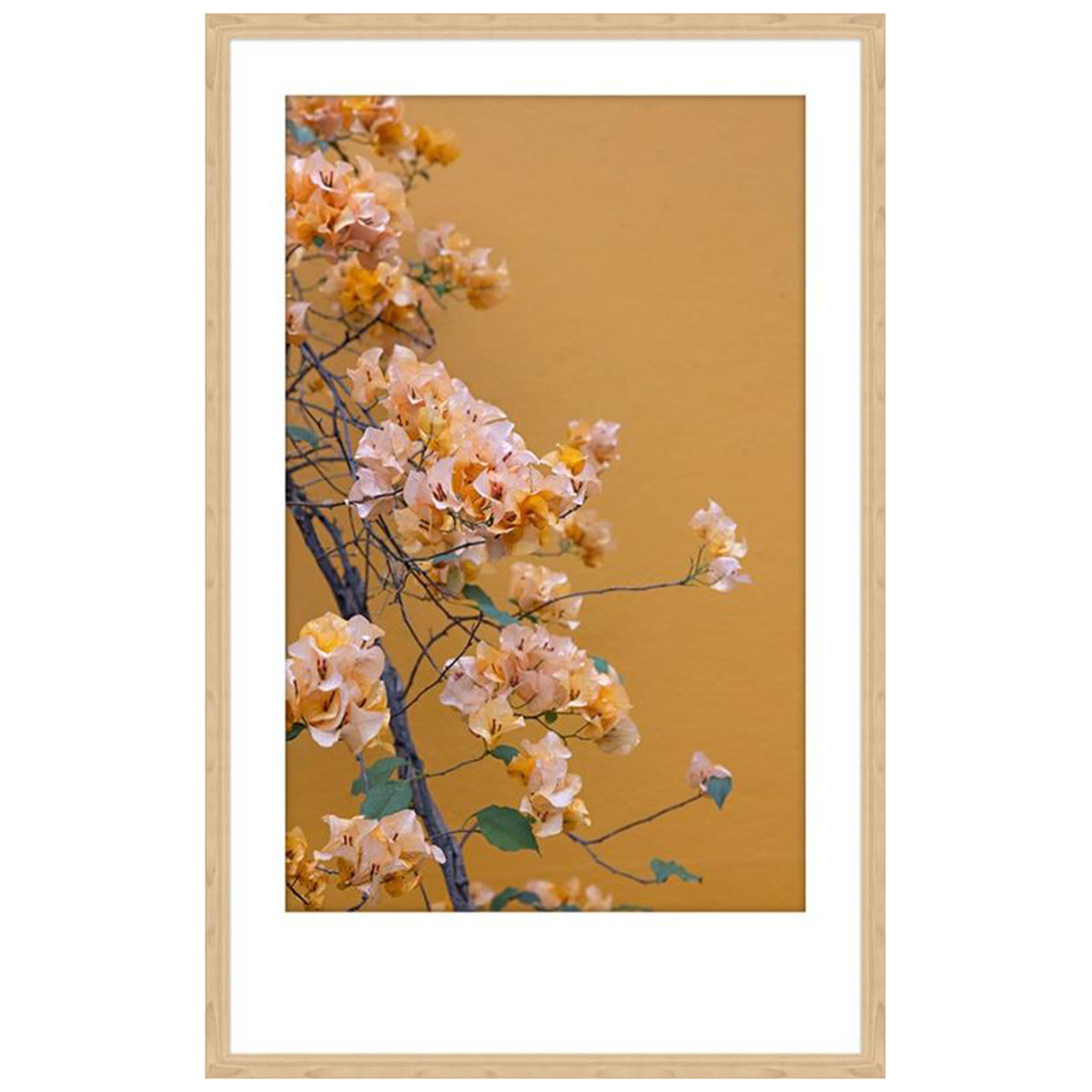Beauty in Bloom