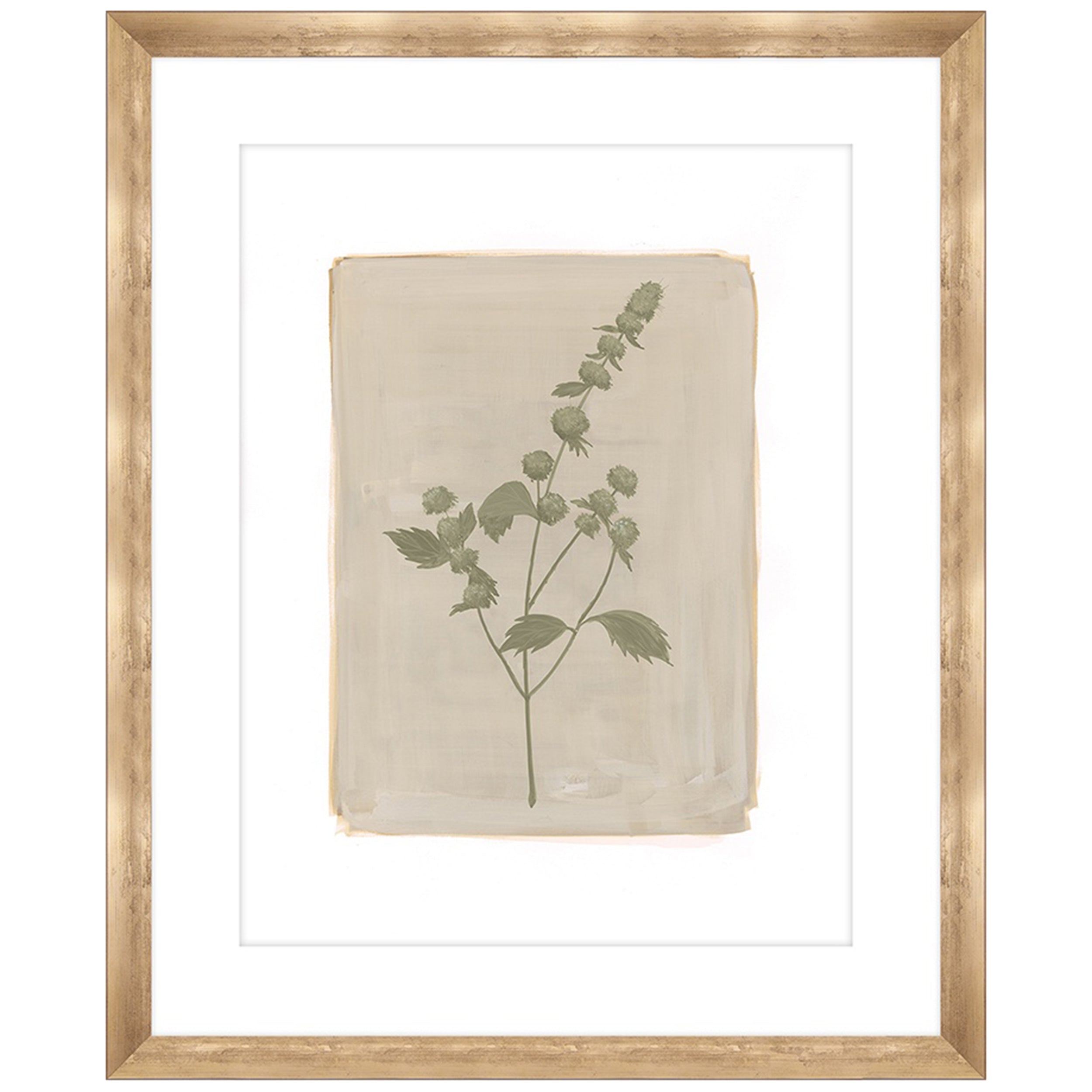 Sedge I