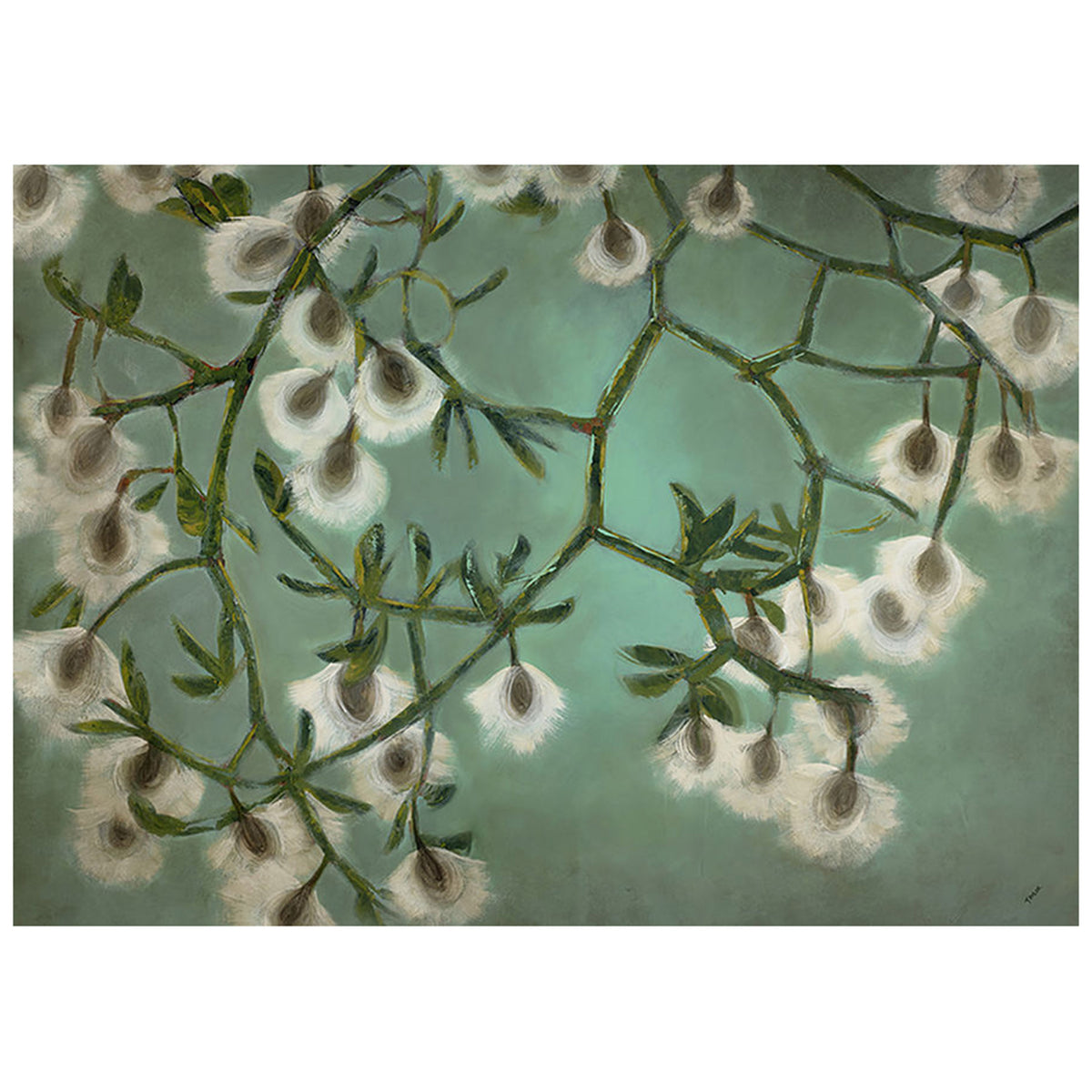 Creosote