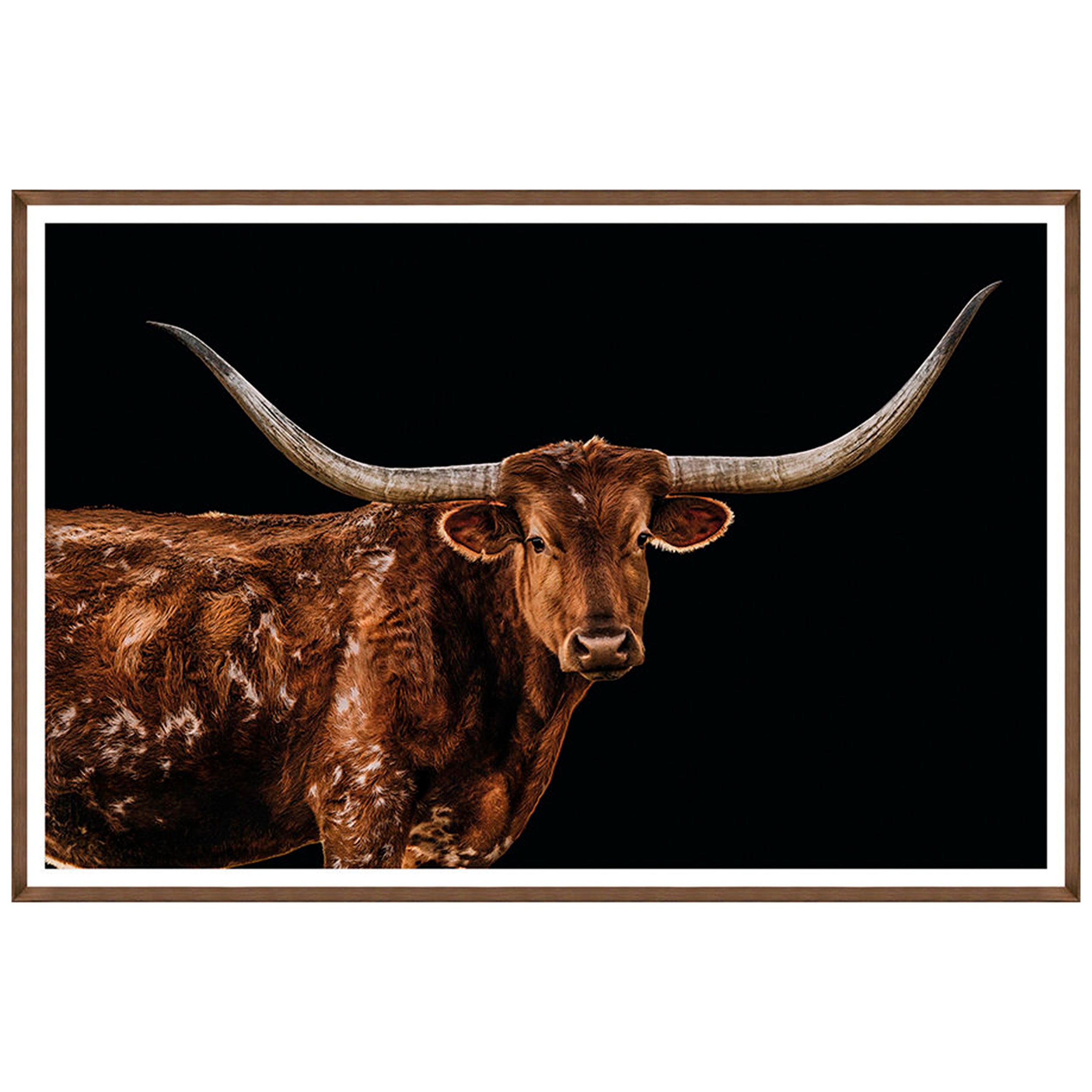 Bigger in Texas