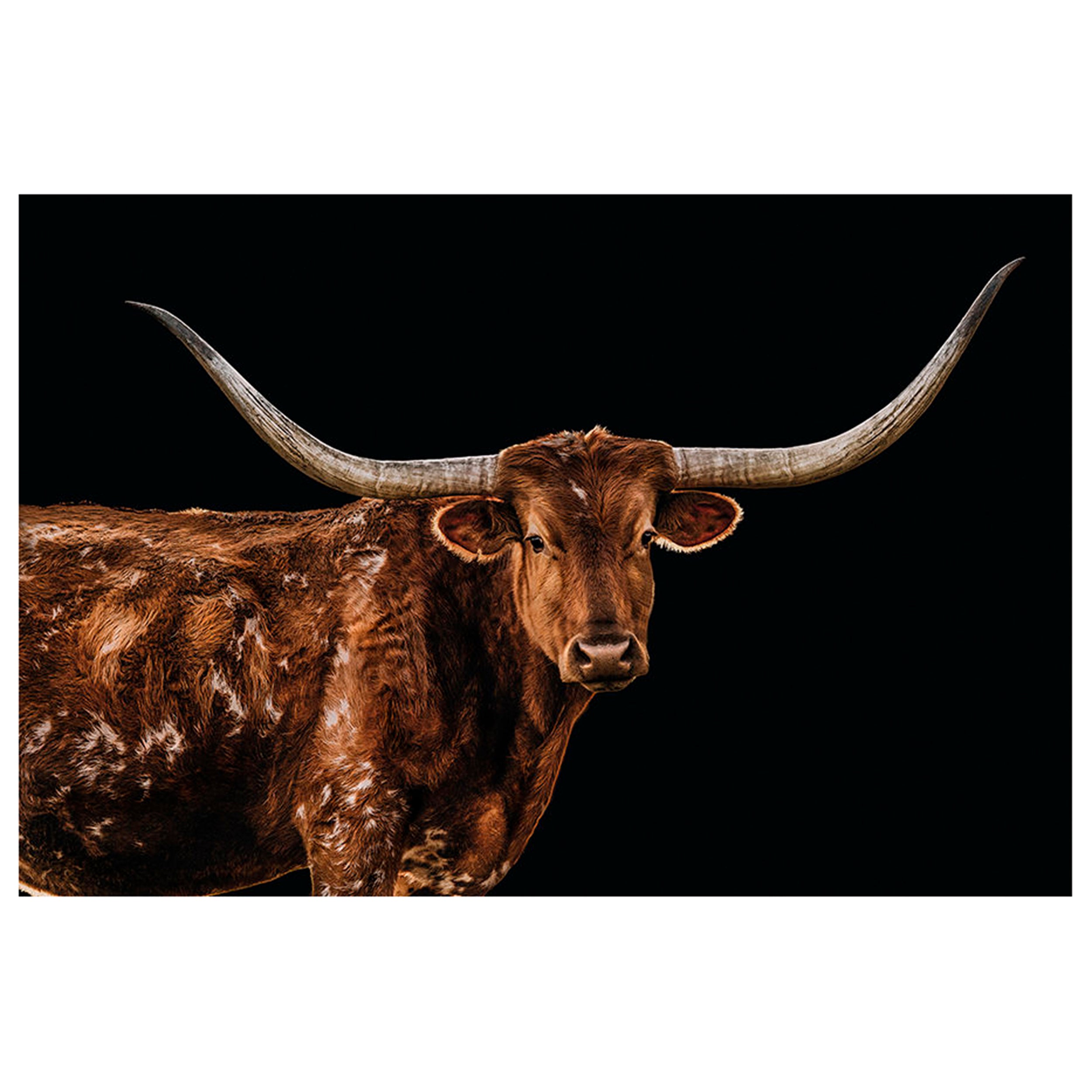 Bigger in Texas