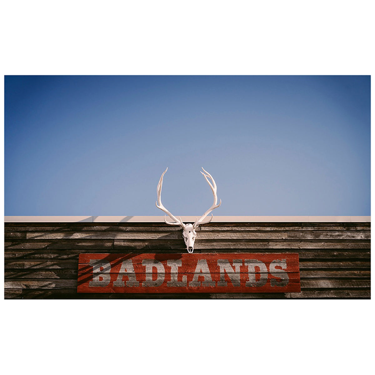 In Farm Land III