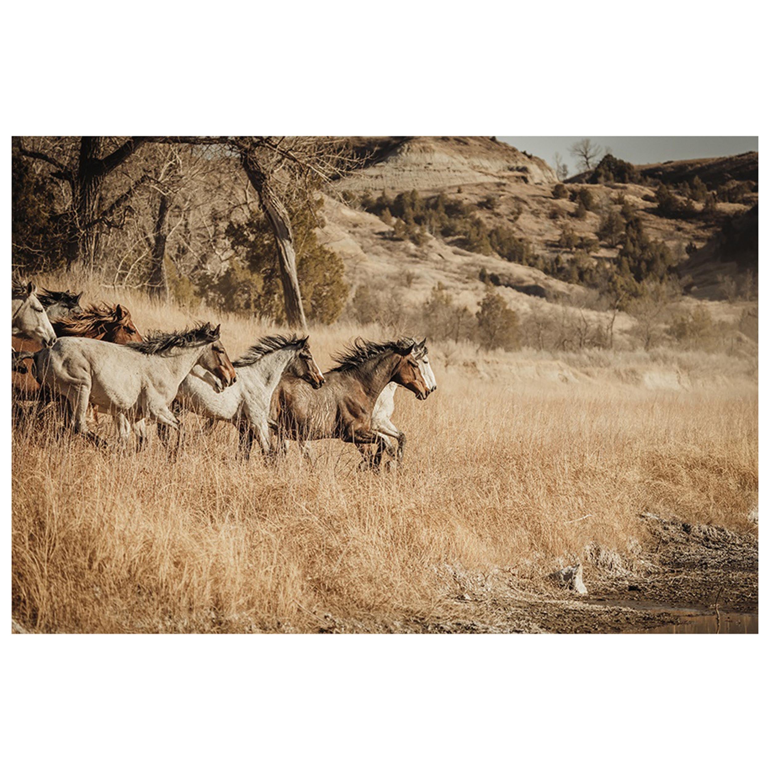 The Horses at III