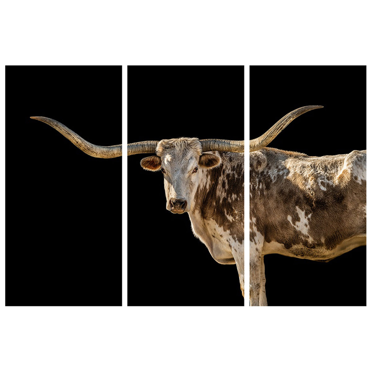 Bessie Triptych (Set of 3-24 x 48 Each)