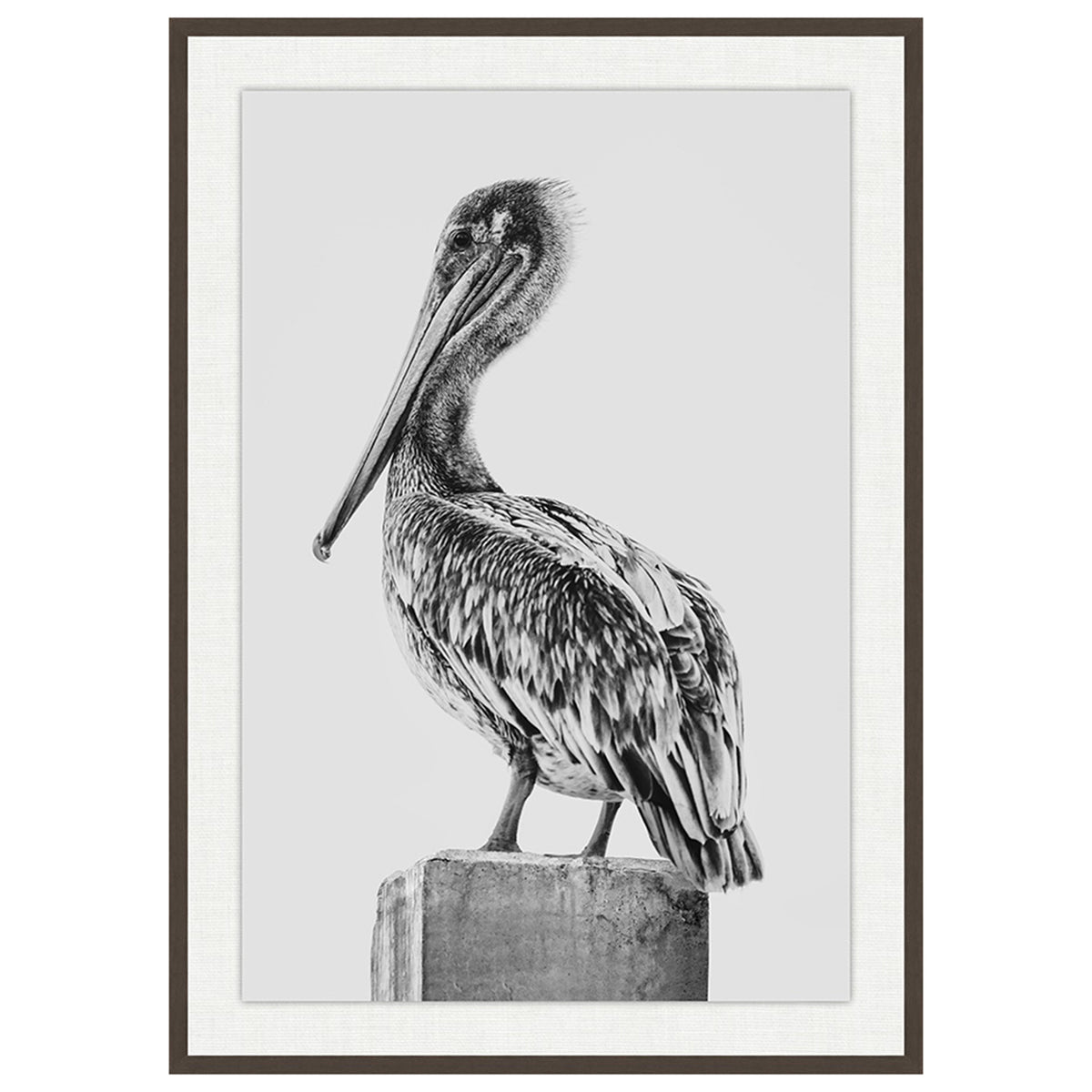 Pelican on a Column I