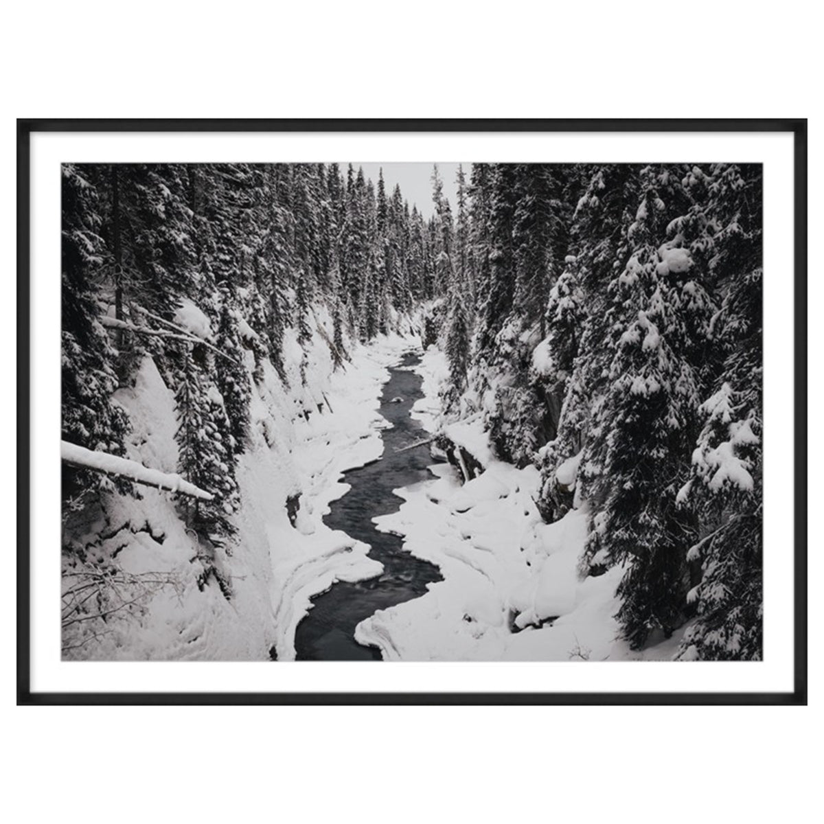Banff VII