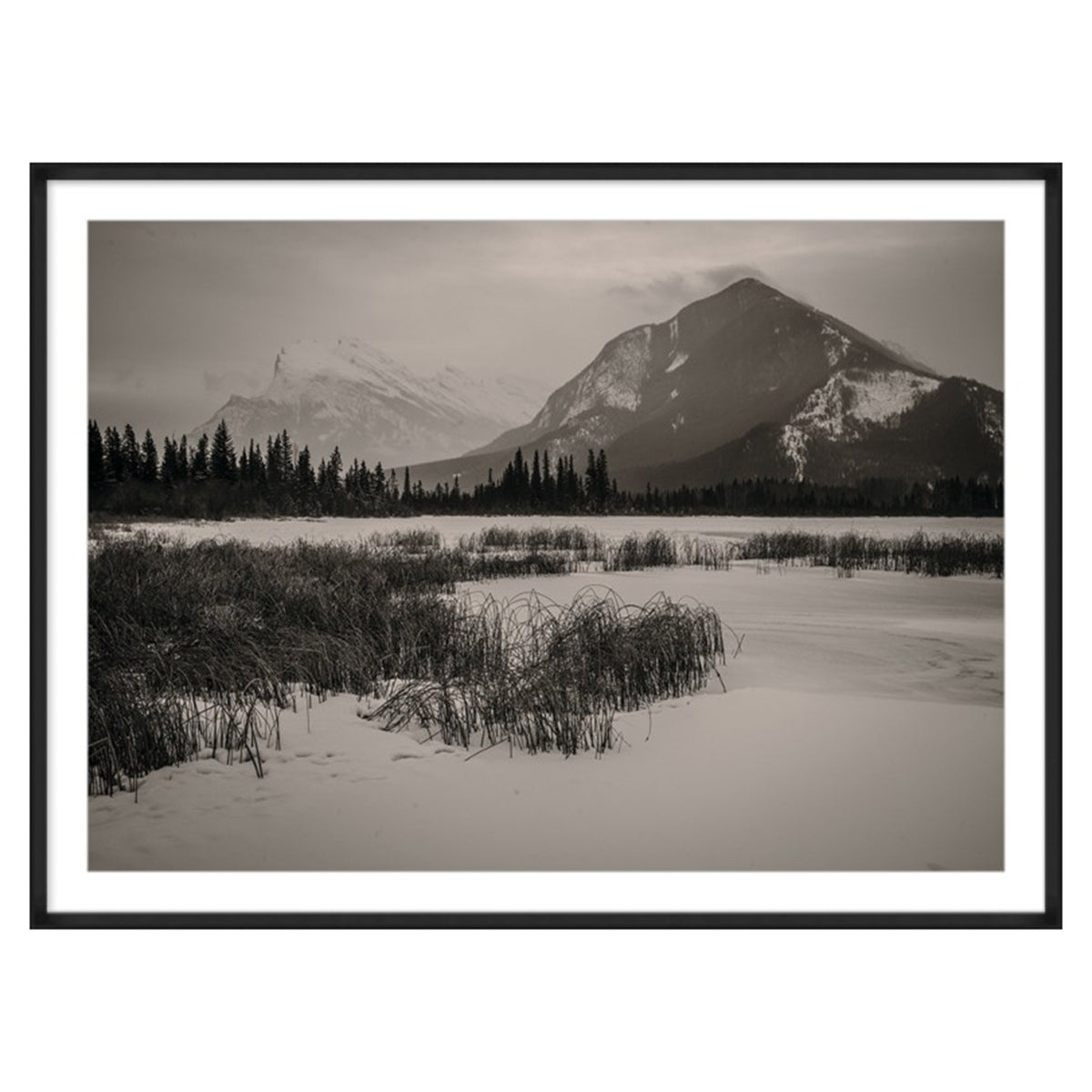 Banff VII