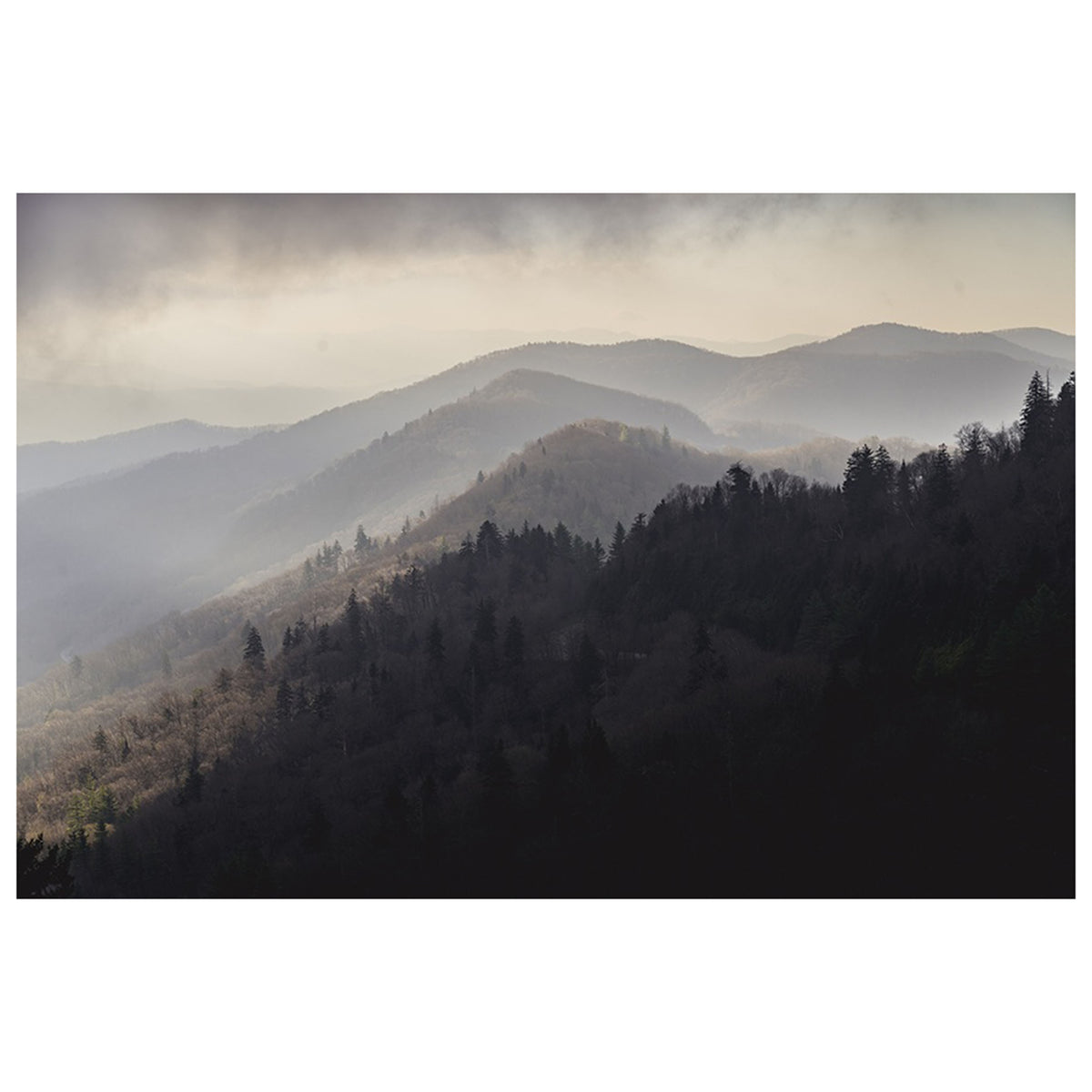 Foggy Mountains