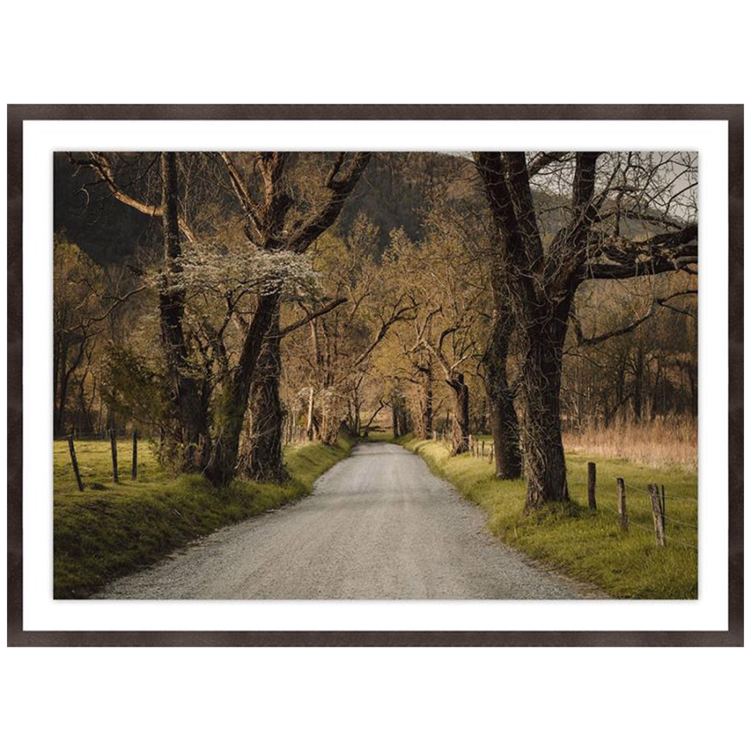 Path to the Enchanted Forest