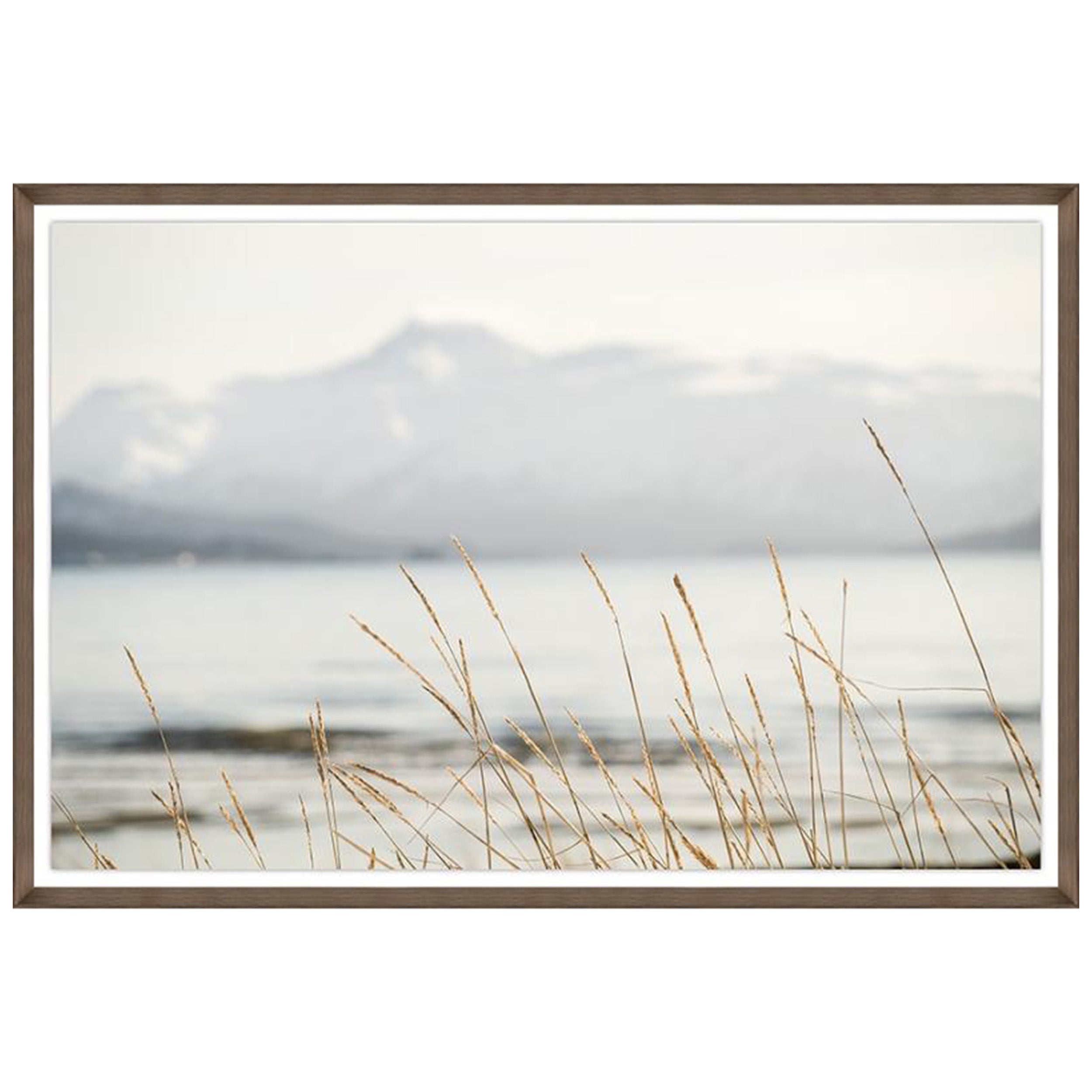 Whispers of the Wind