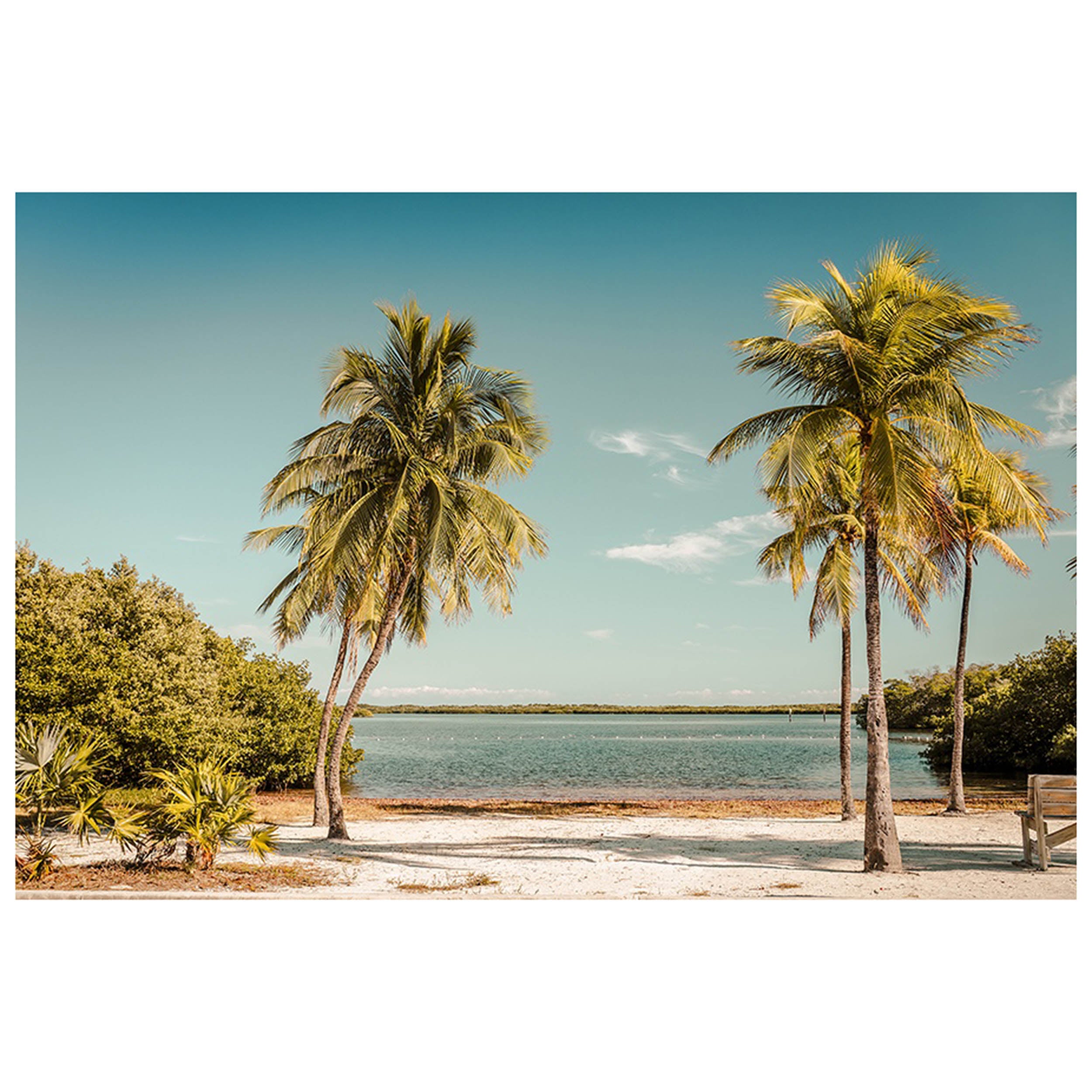 Palm Lake