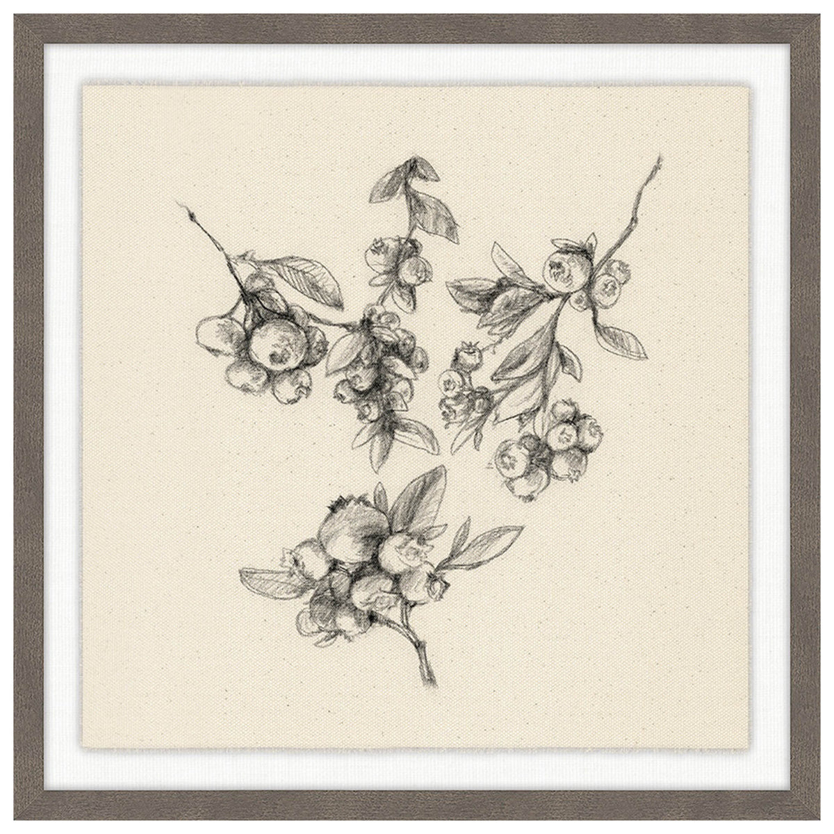 Fruiting Florals V