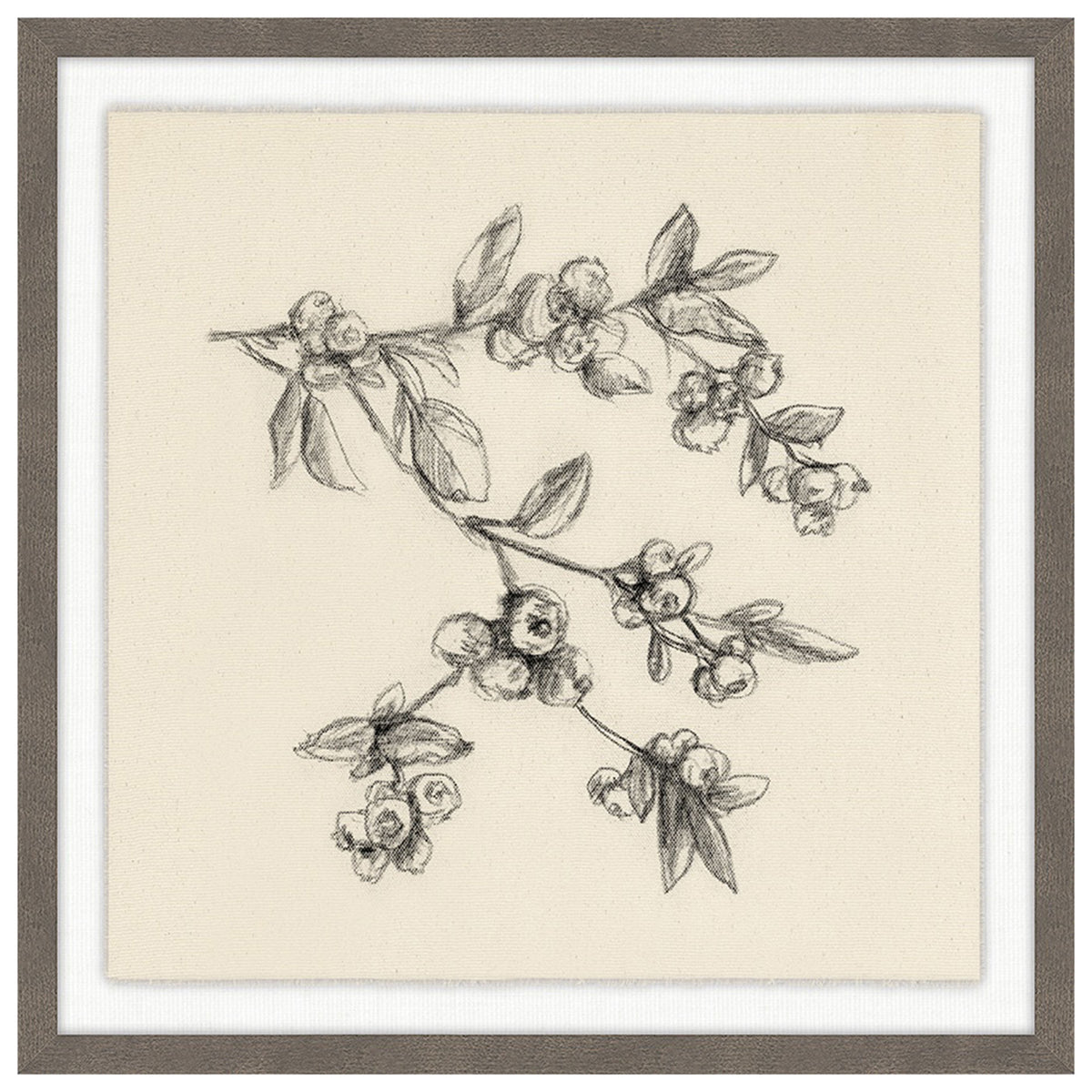Fruiting Florals VI