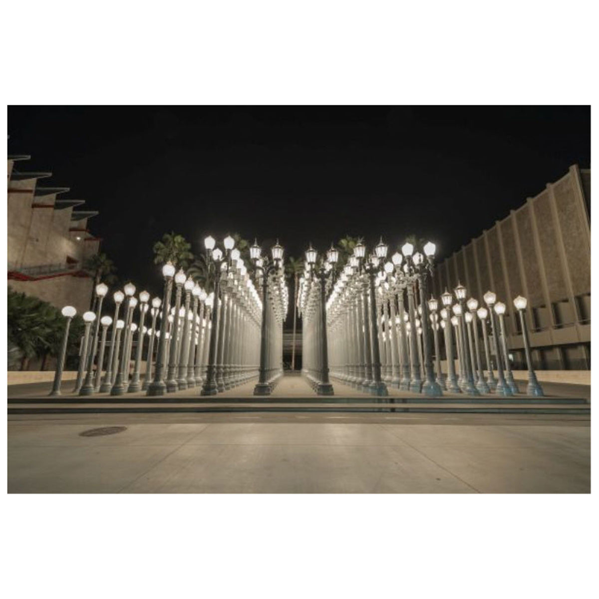 LACMA at Night