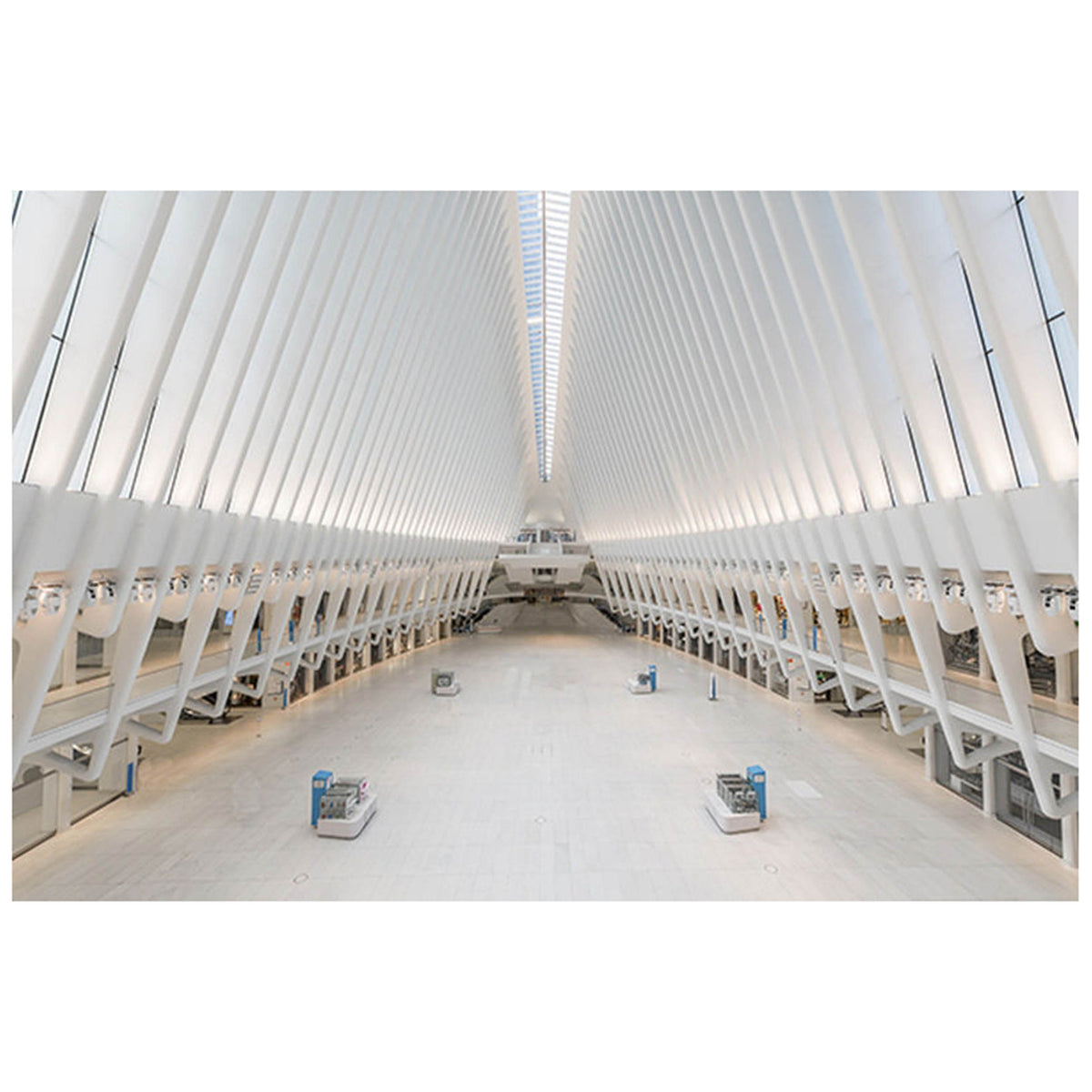 New York Oculus