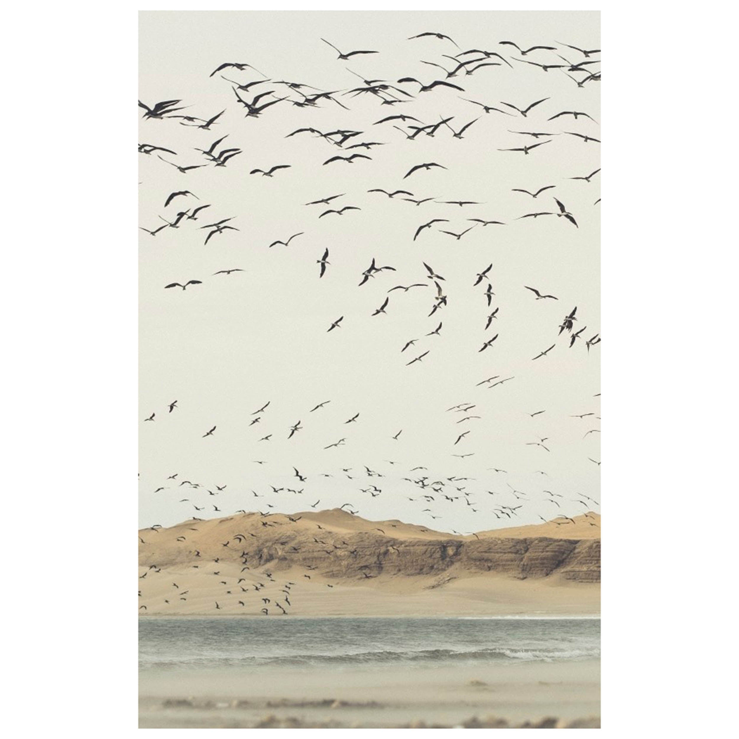 The Migration