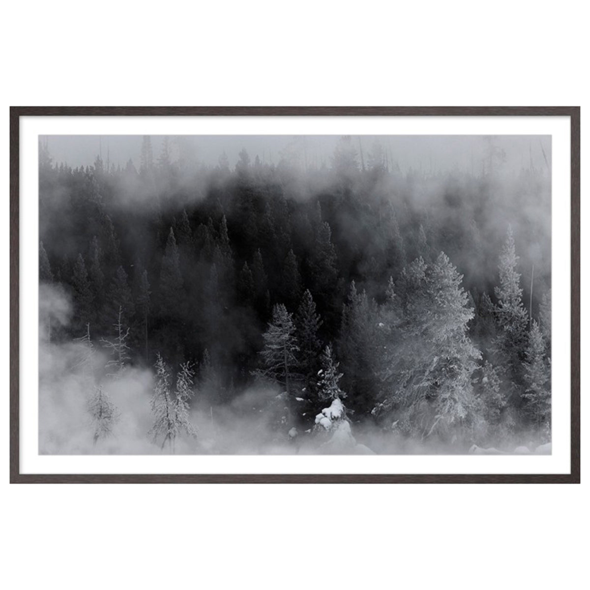 Whisper of the Woods