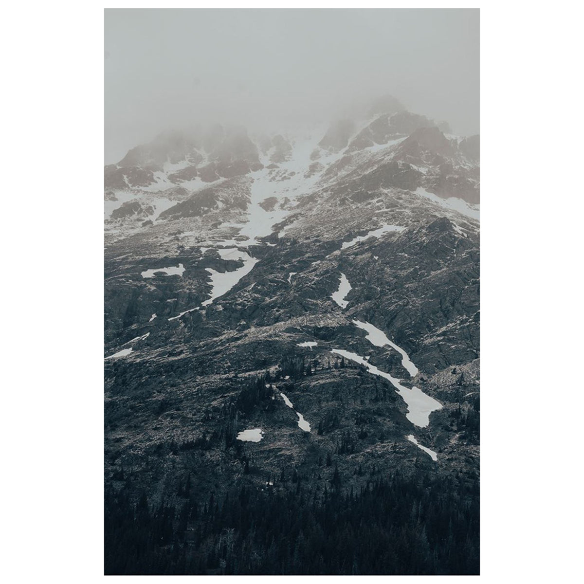 Montana 18