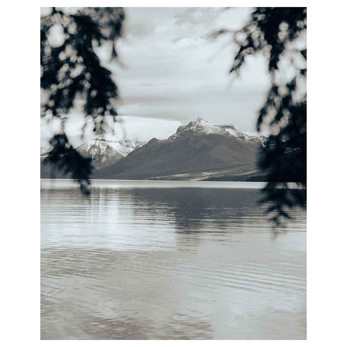 Montana 21