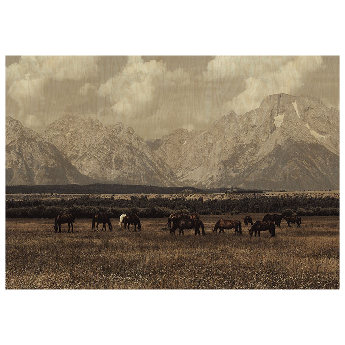 Wild West Legends I