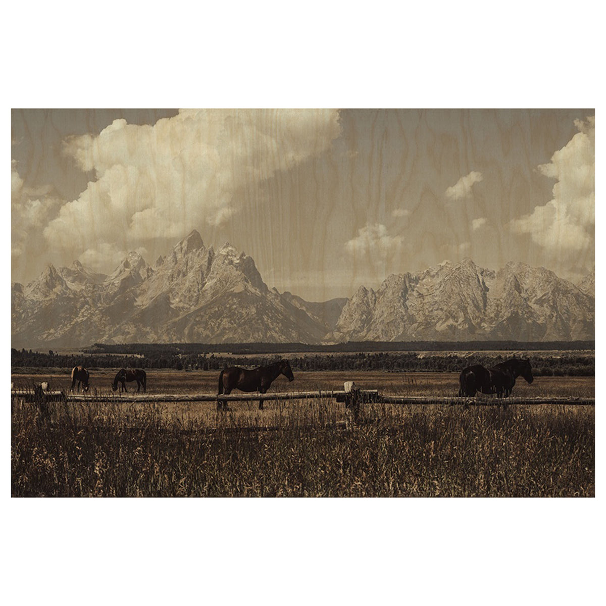 Wild West Legends II