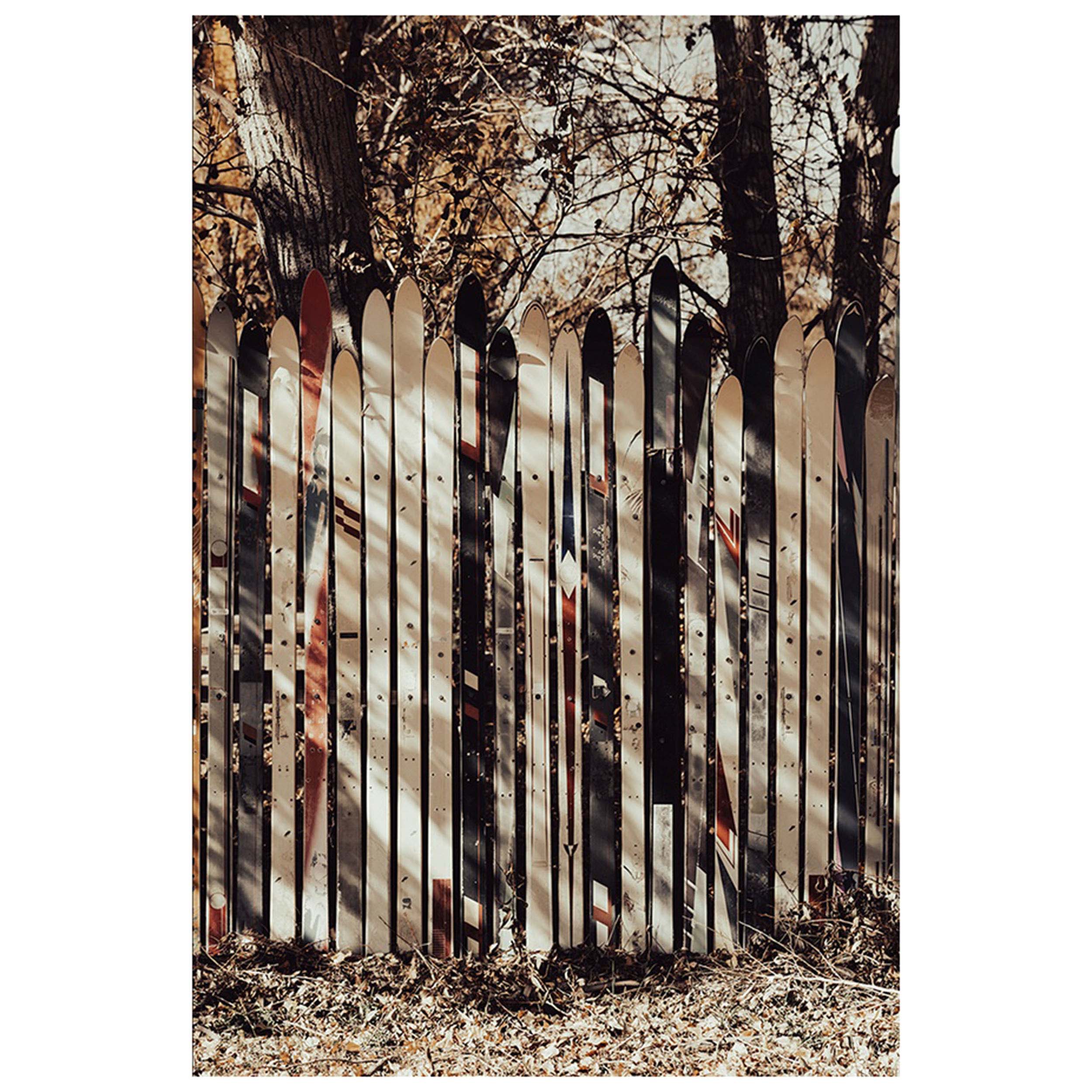 Line'em Up Fence Canvas Art by Tatiana Alexandra
