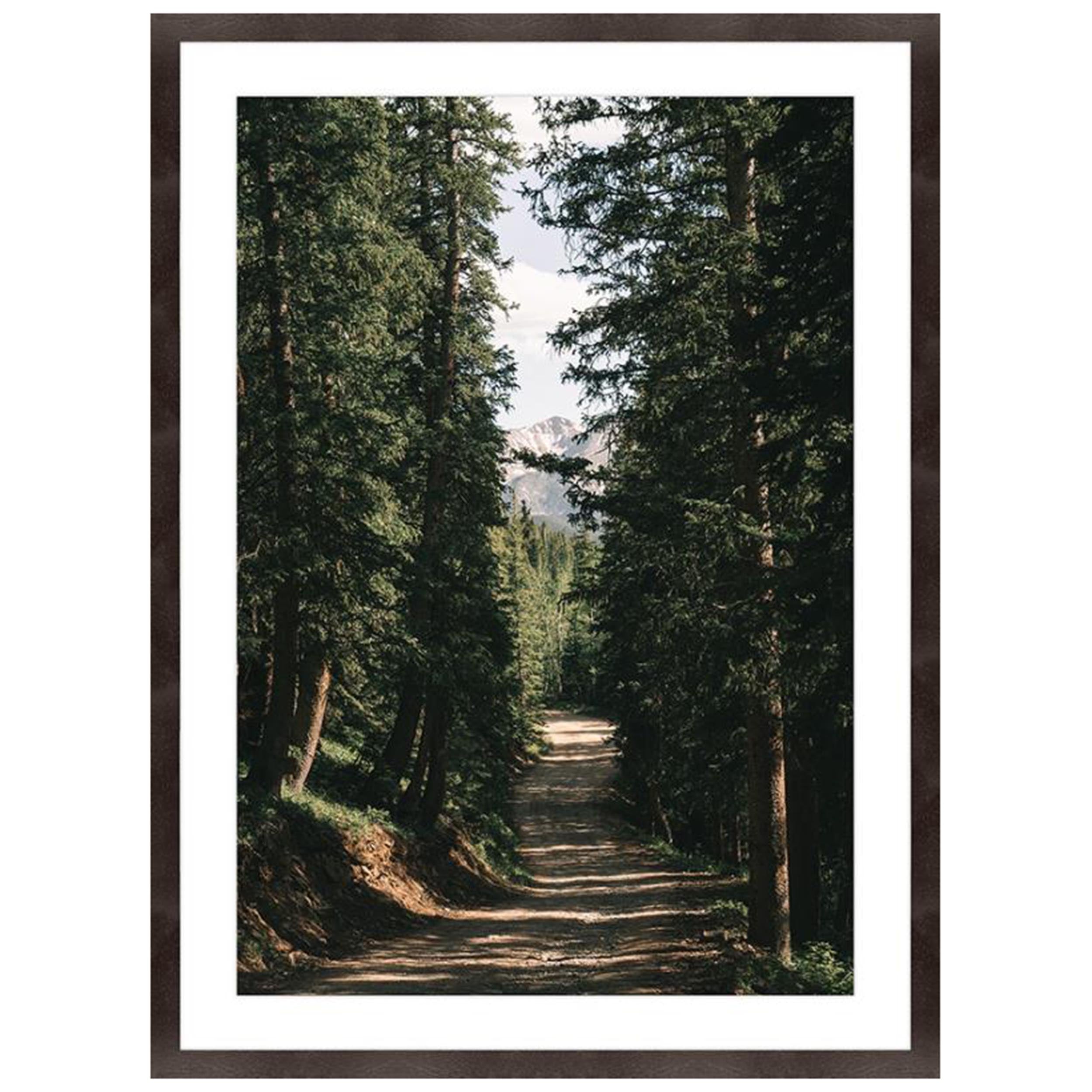 Mountain Walkways