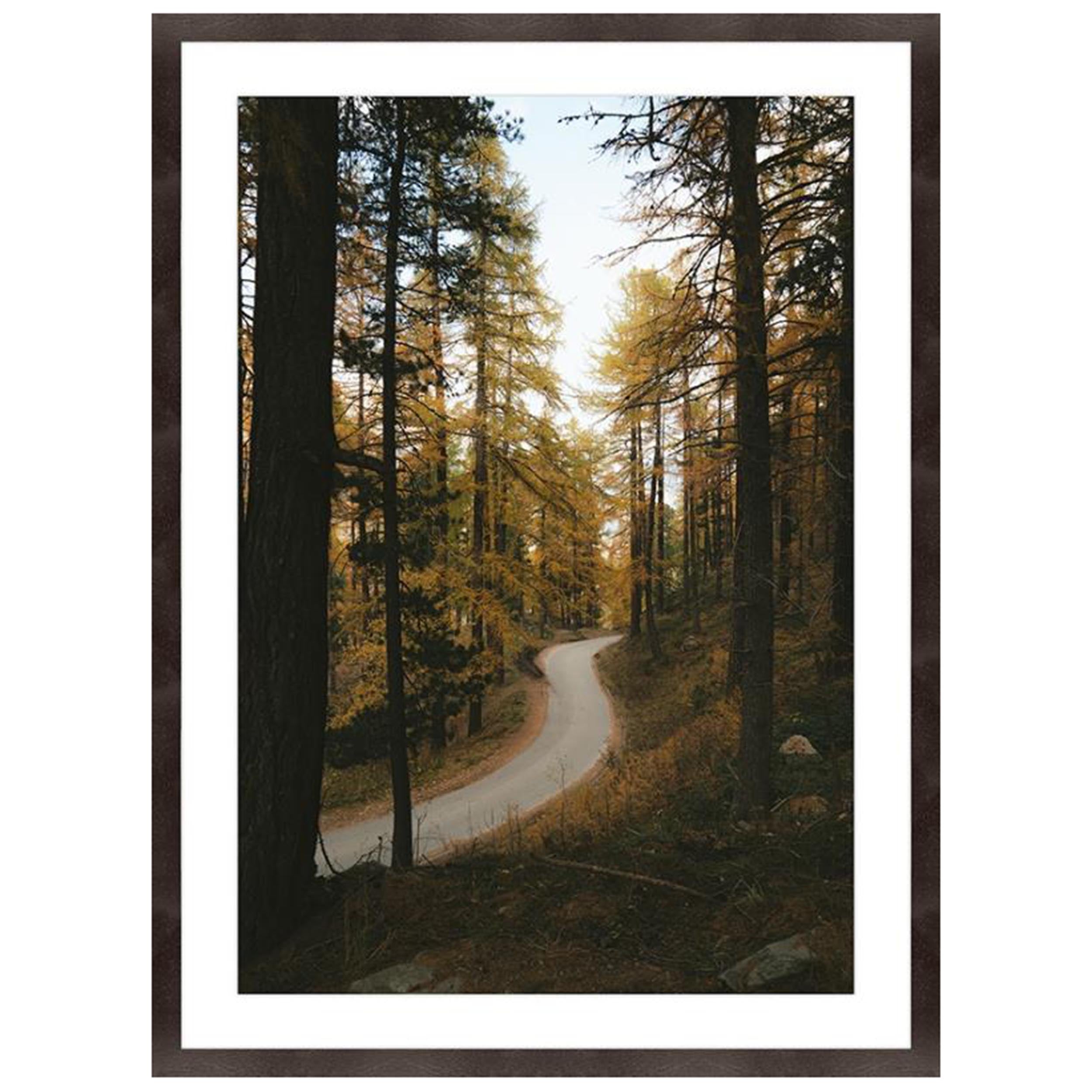 The Golden Way I