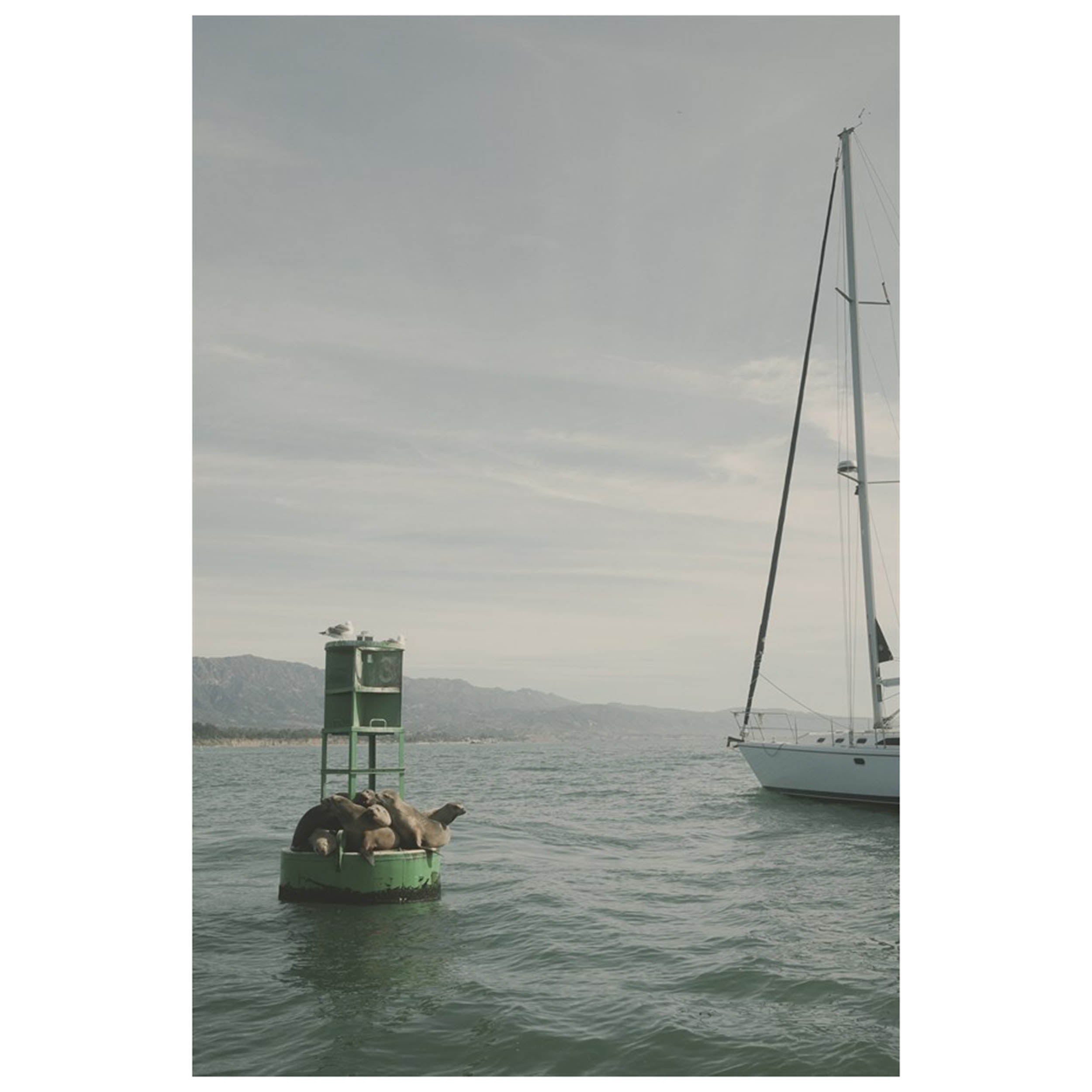 Life of the Sea II