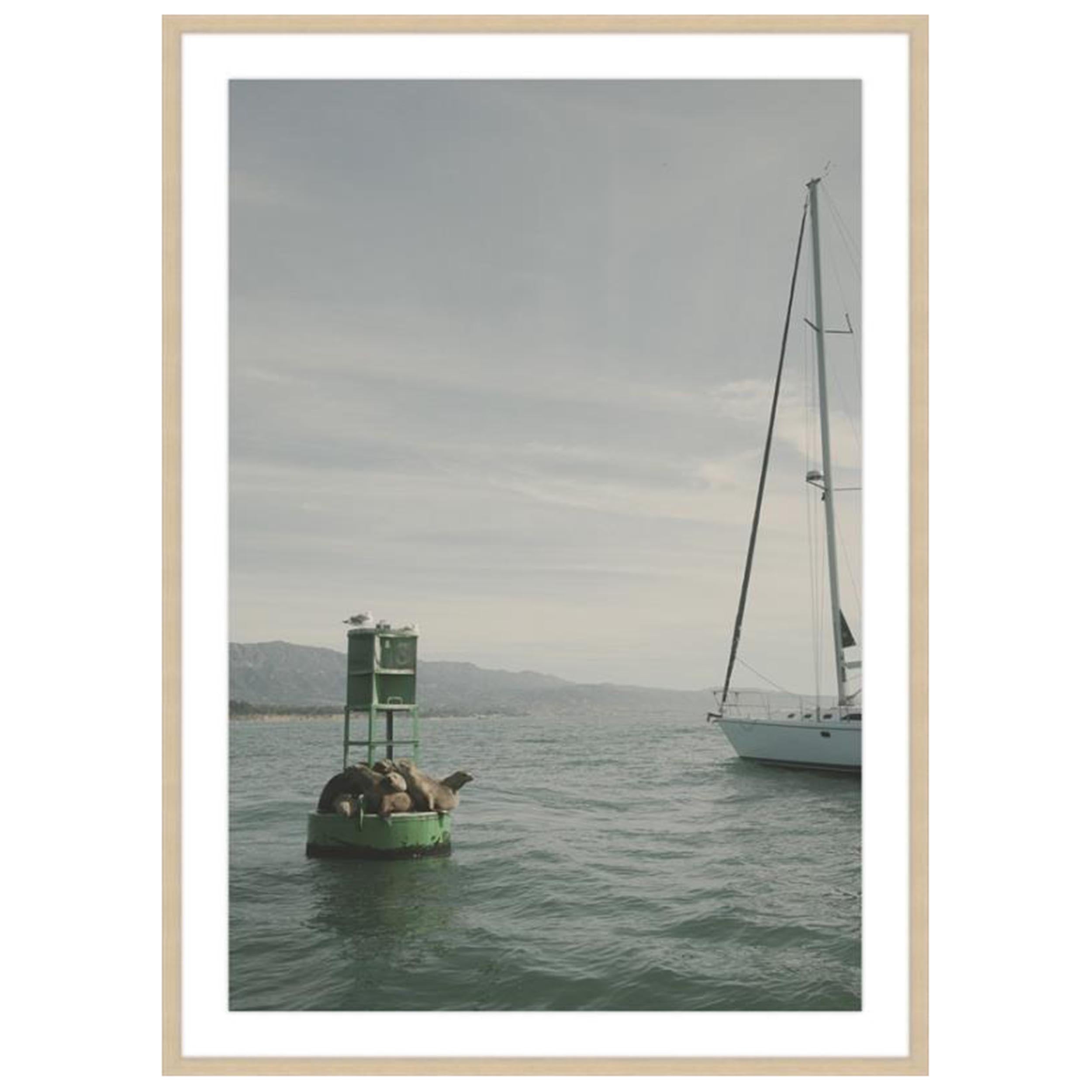 Life of the Sea II