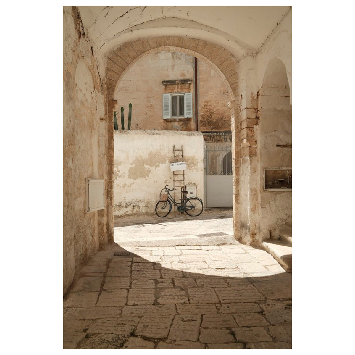 The Antiquarian’s Bicycle