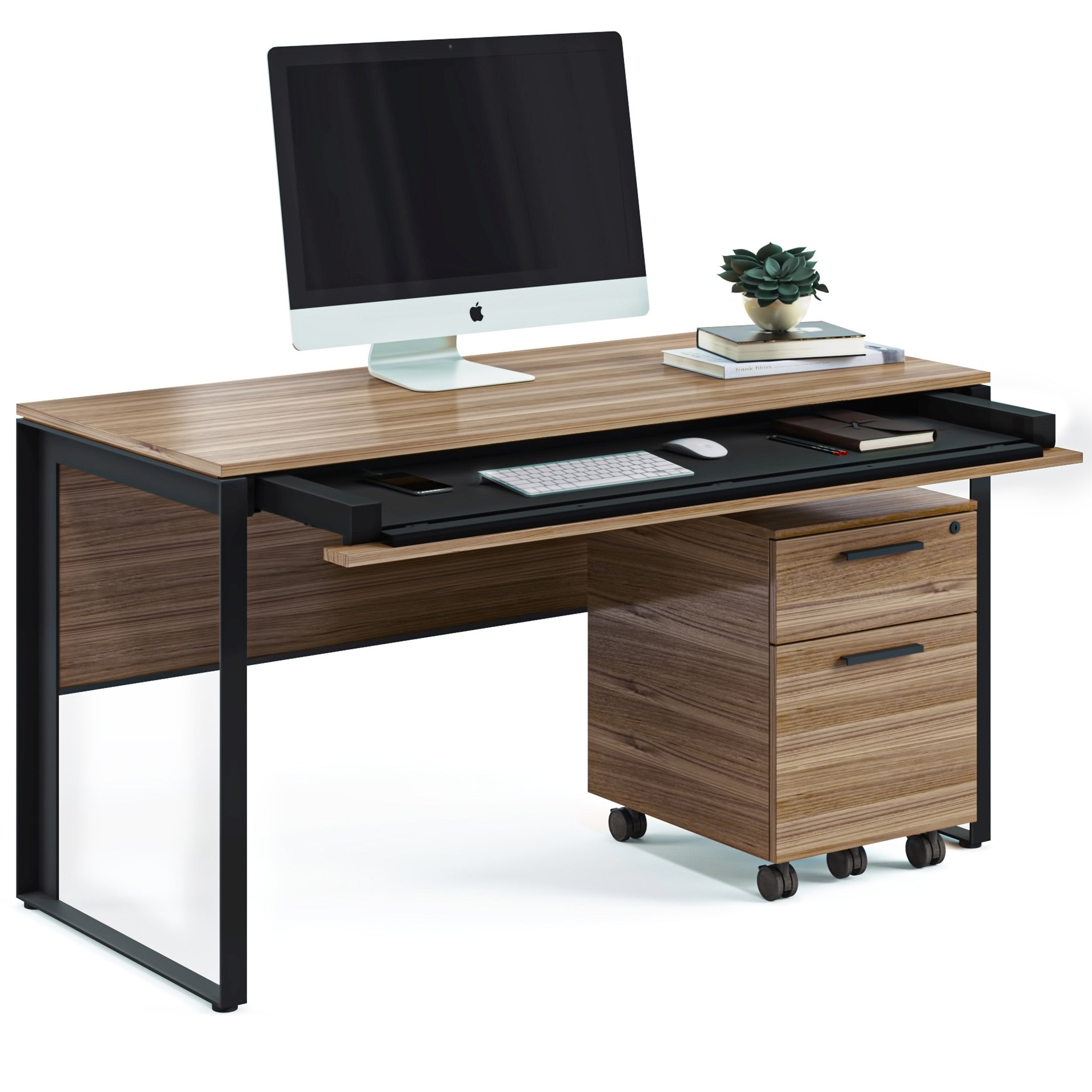 Linea 6221, Natural Walnut