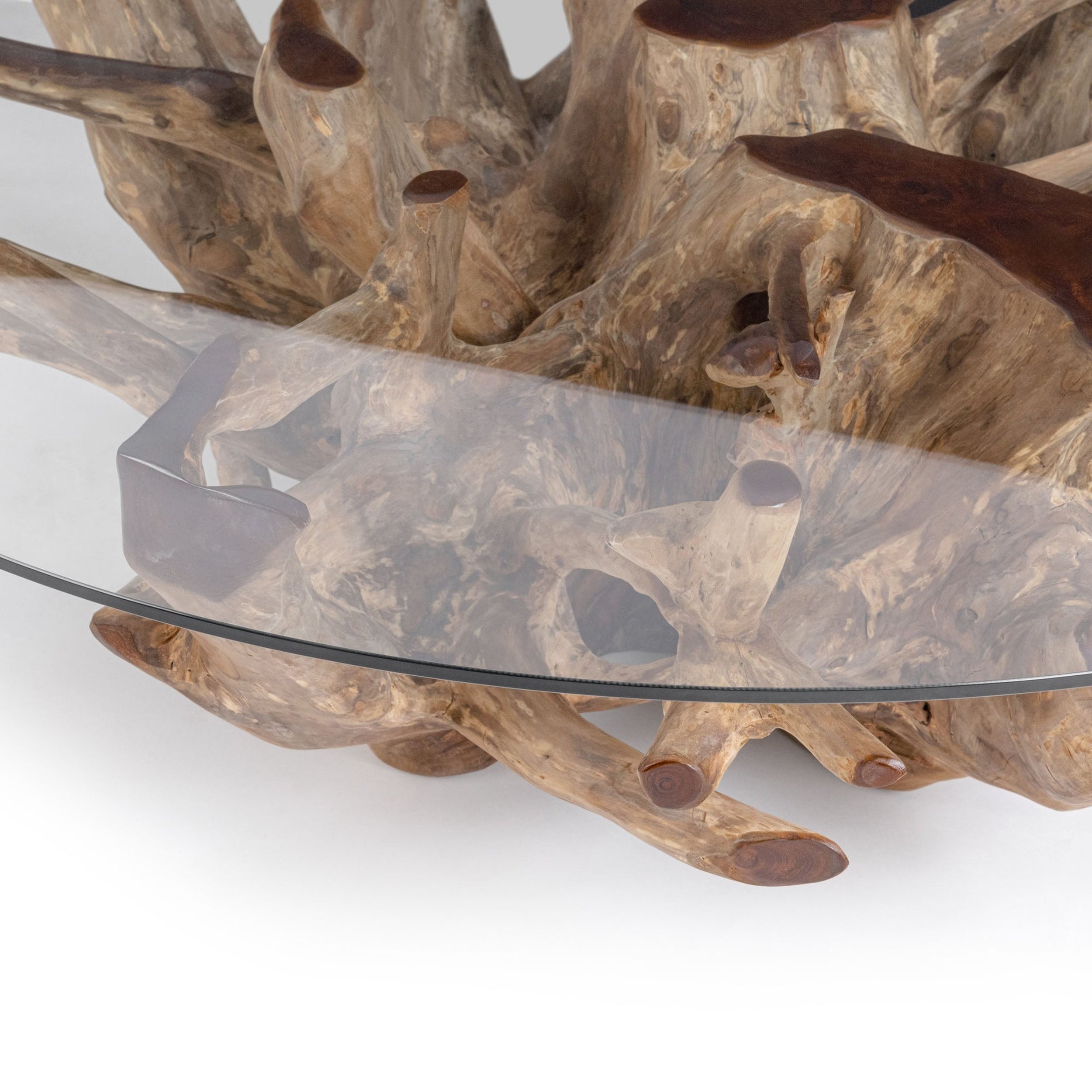 Willow Teak Root Glass Coffee Table, Natural White