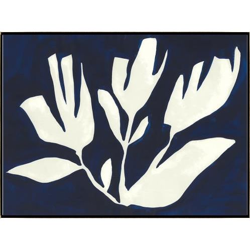 NIGHT BLOOM I