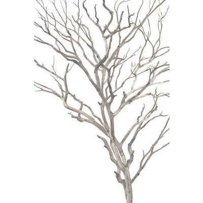ENFOLDING BRANCHES