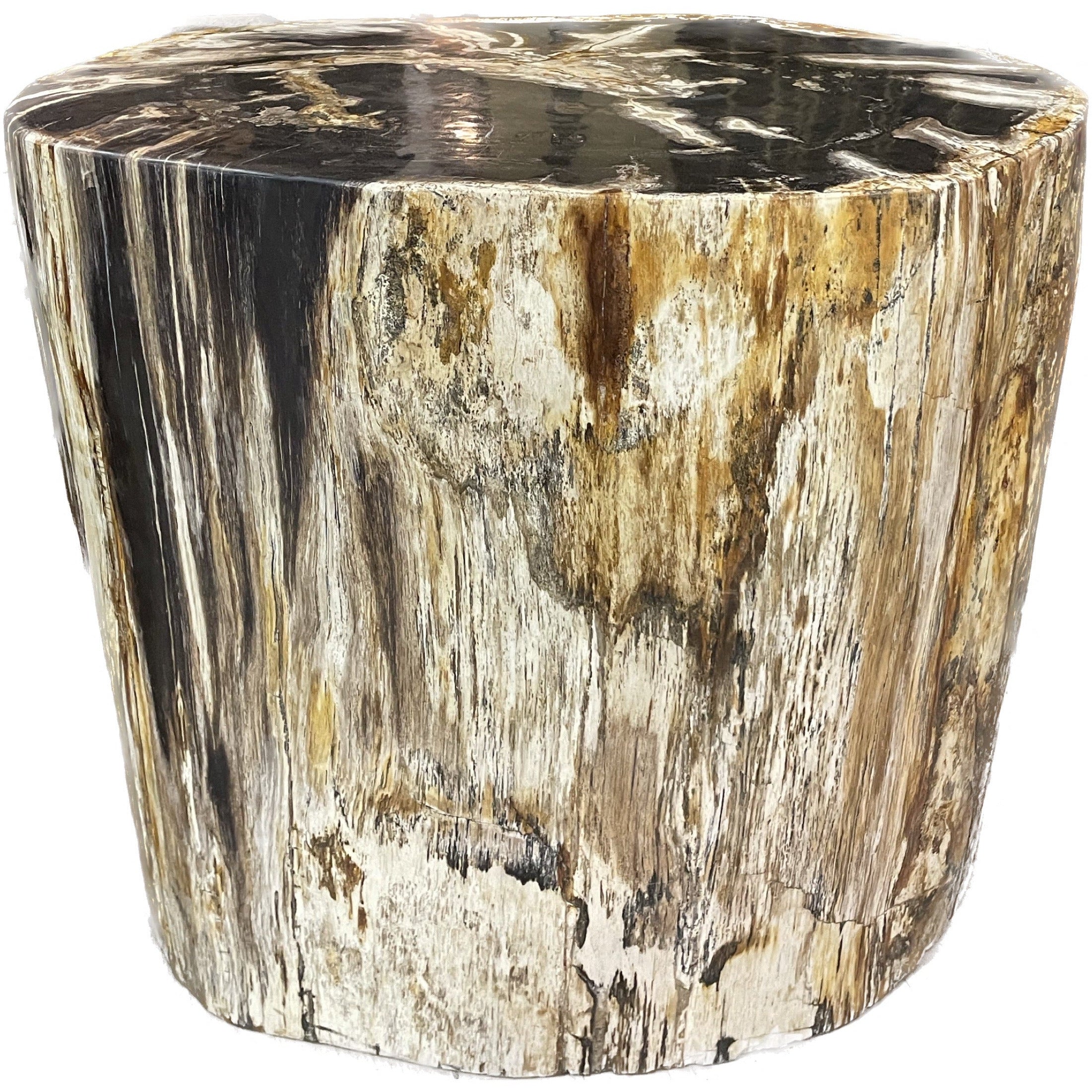 Petrified Wood End Table