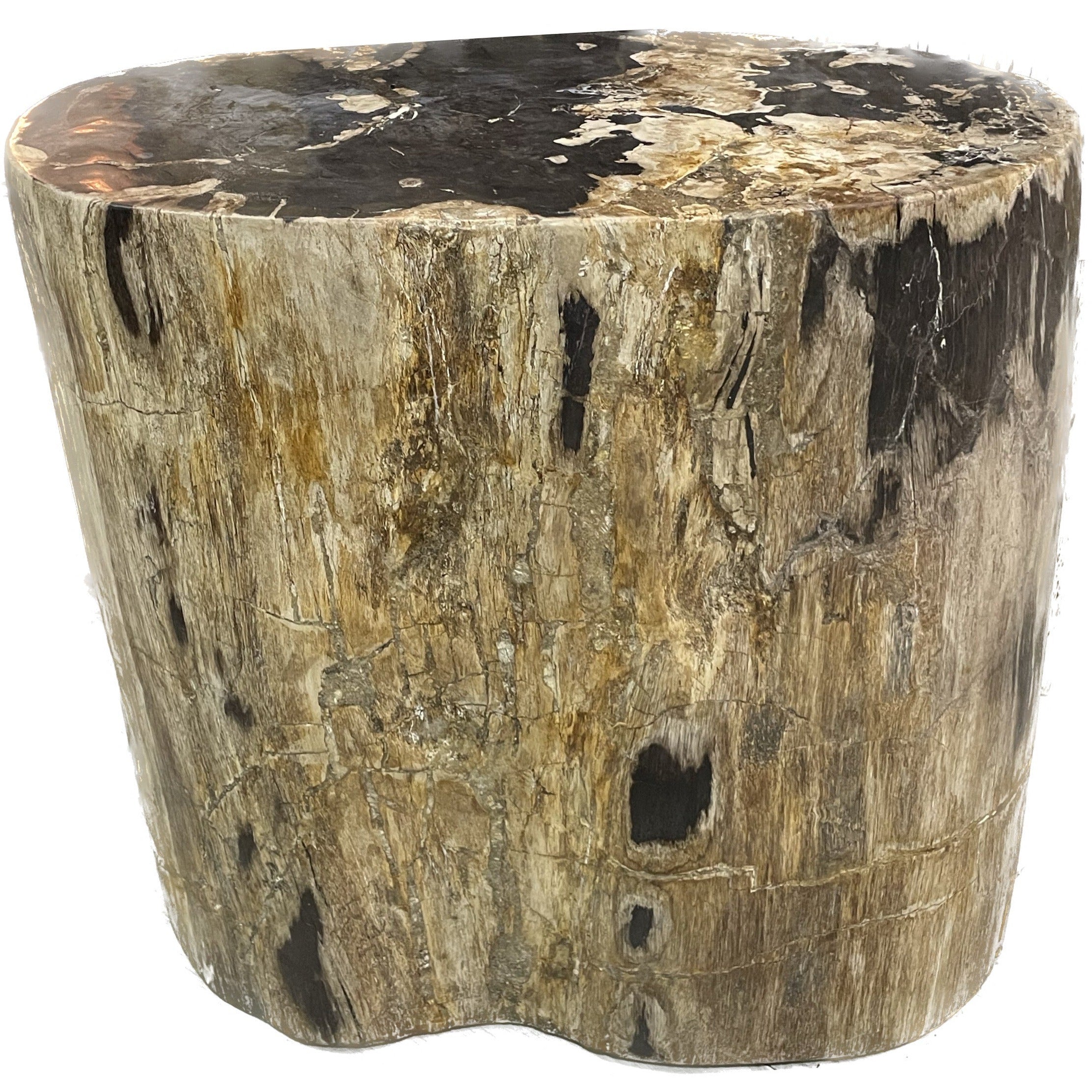 Petrified Wood End Table